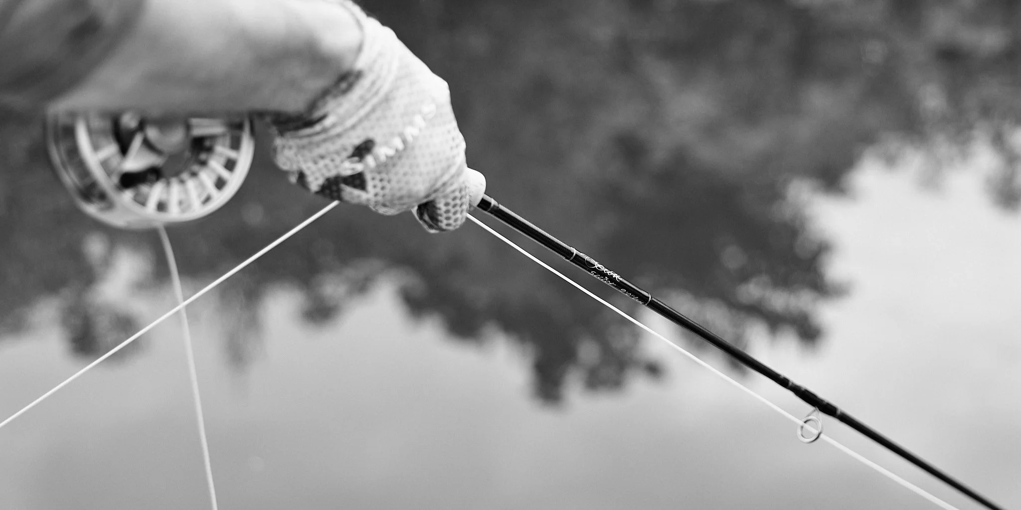 Barramundi-2024-01-11 07.36.22.jpg