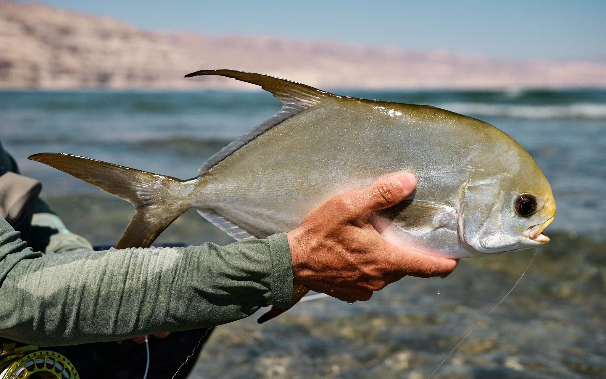 ASF & Flatscraft Oman -2025-11-10 10.50.43 5958.jpg