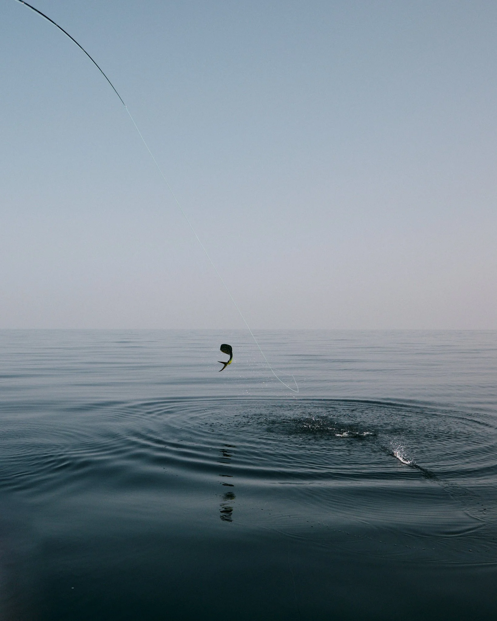 ASF & Flatscraft Oman -2025-11-07 14.50.25 3836.jpg