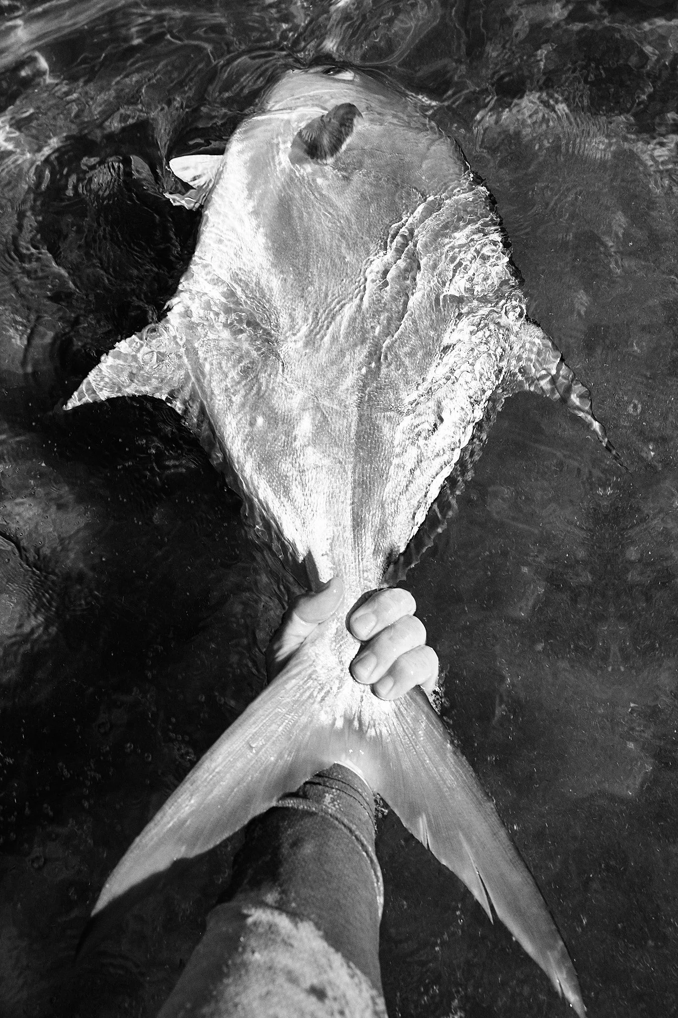 Permit-2025-08-04 10.25.10 140.jpg