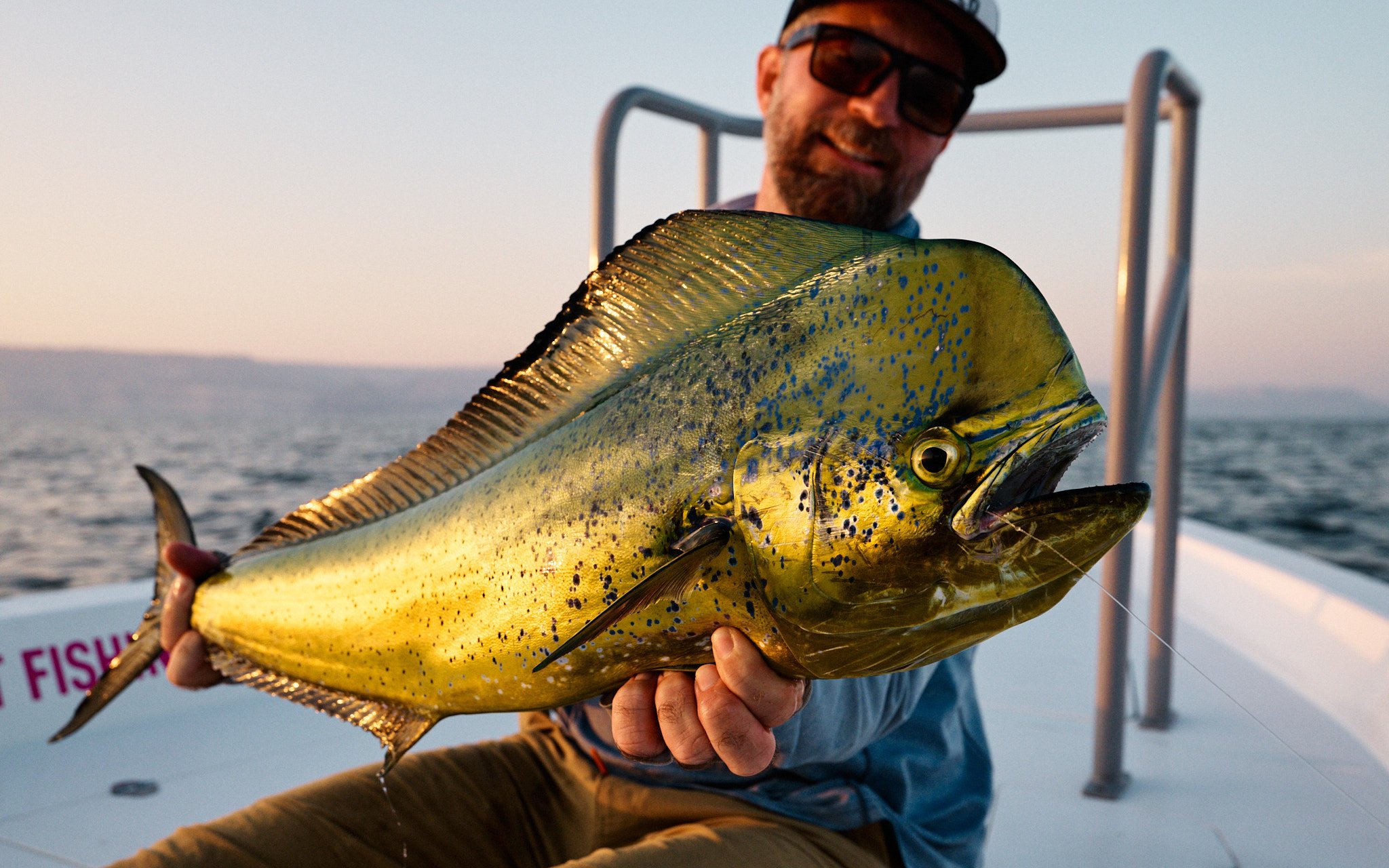 ASF & Flatscraft Oman -2025-11-06 17.27.59 2247.jpg