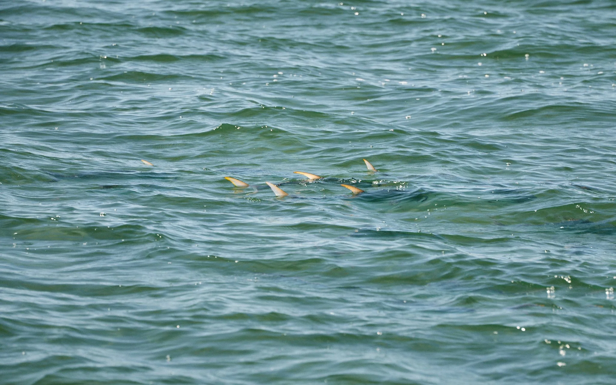 Permit-2025-08-05 13.27.10.jpg