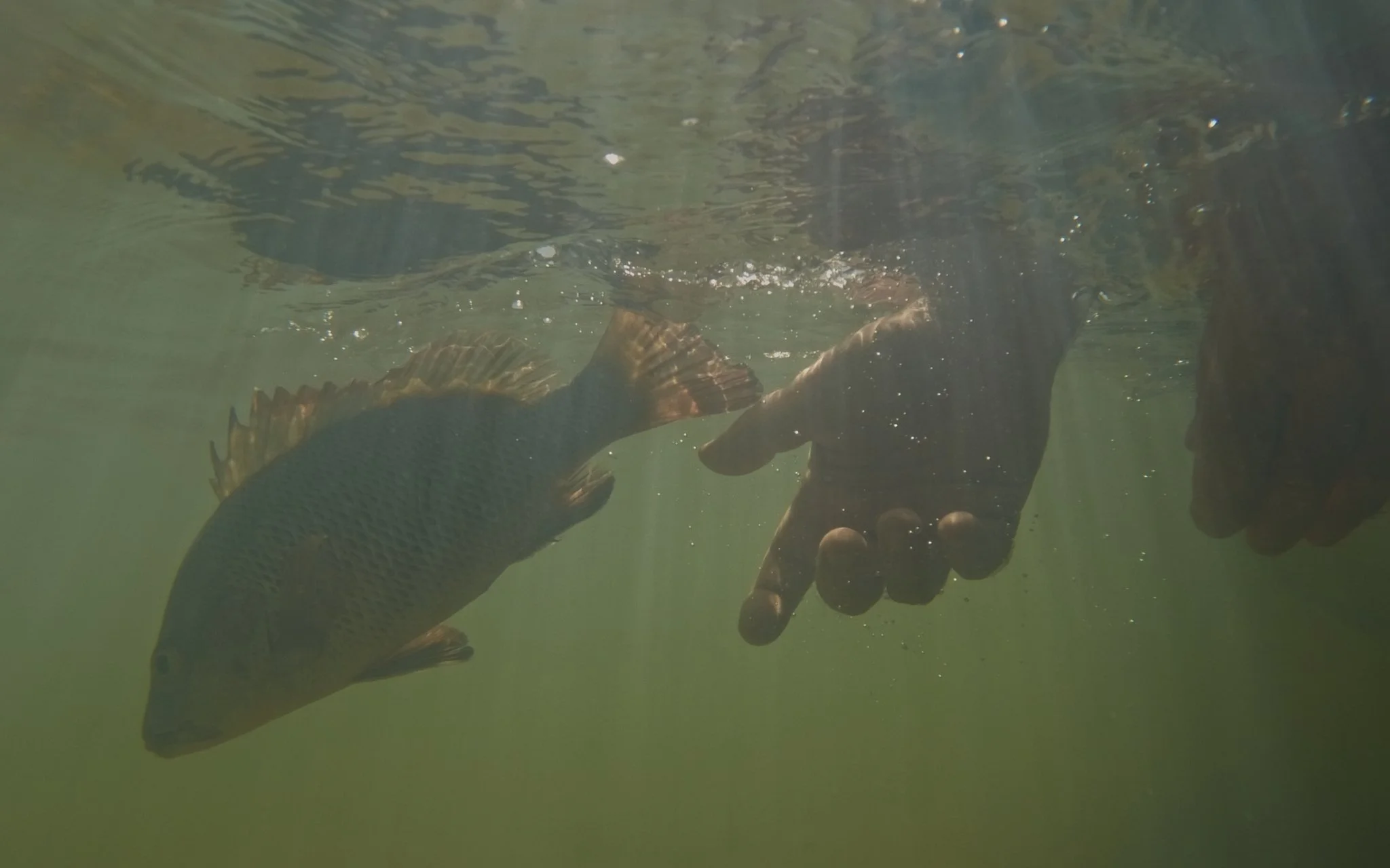 Unsorted-Shimano-2025-03-18 04.19.30 1.jpg