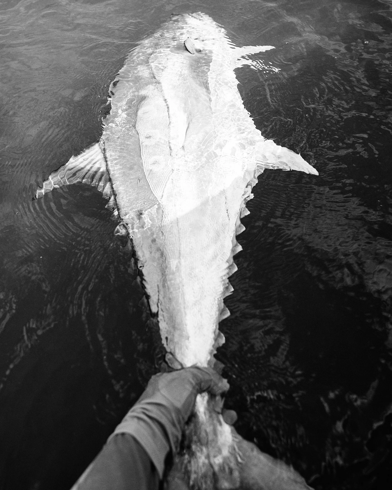 Unsorted-2025-06-10 13.59.57 2.jpg