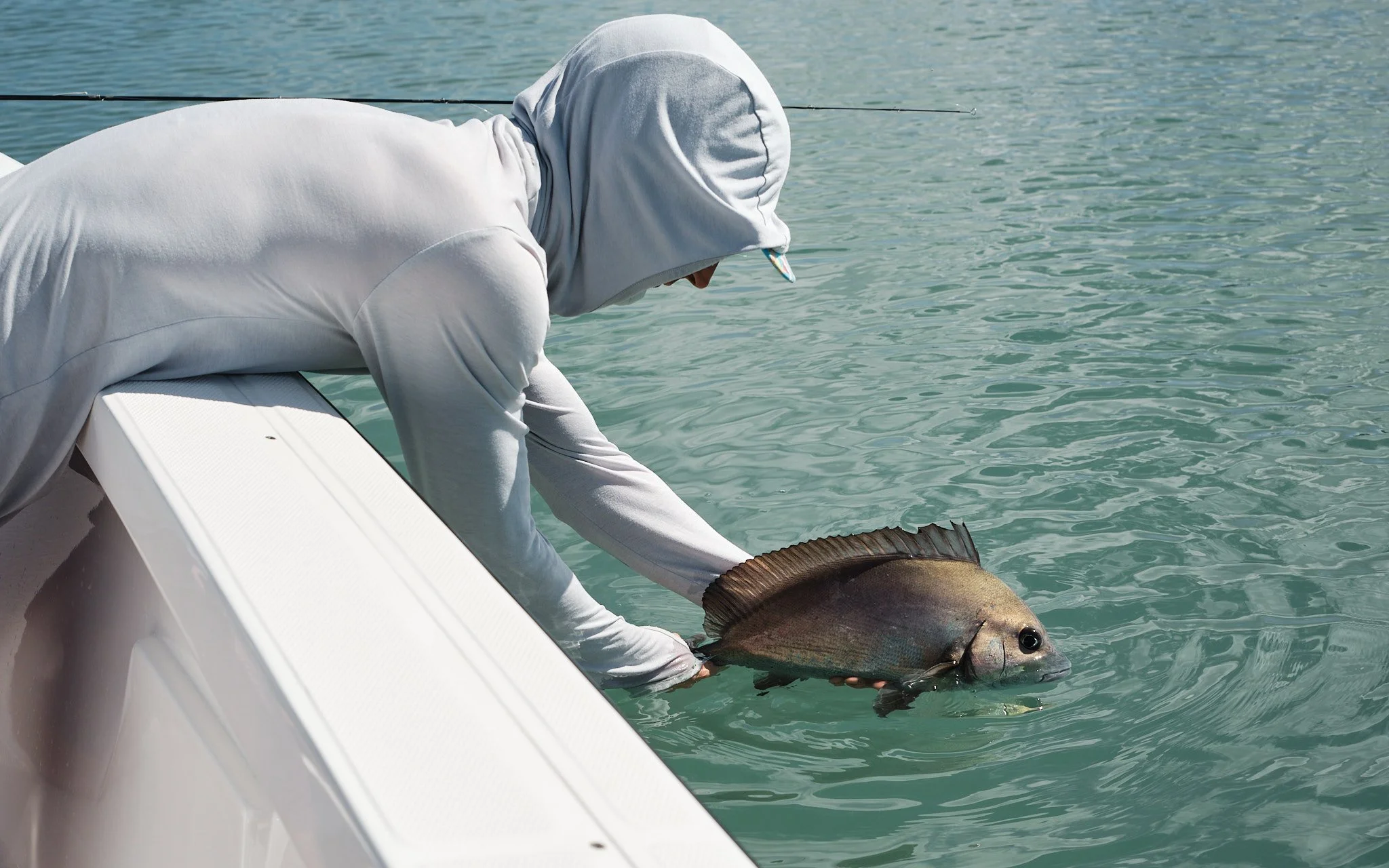 Bastard-2022-08-19 10.24.09.jpg