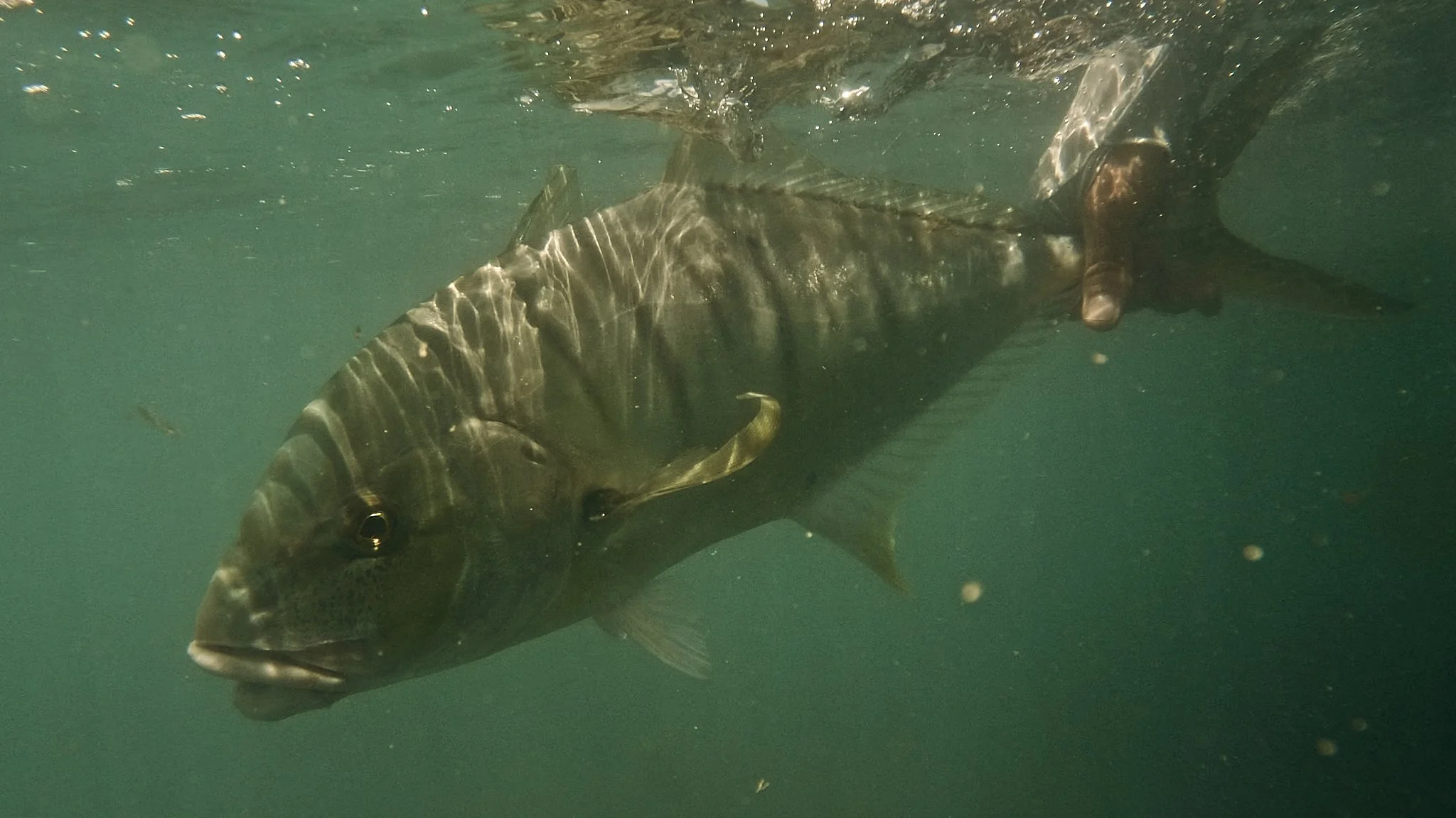 Unsorted-2025-05-26 02.32.12 6.jpg