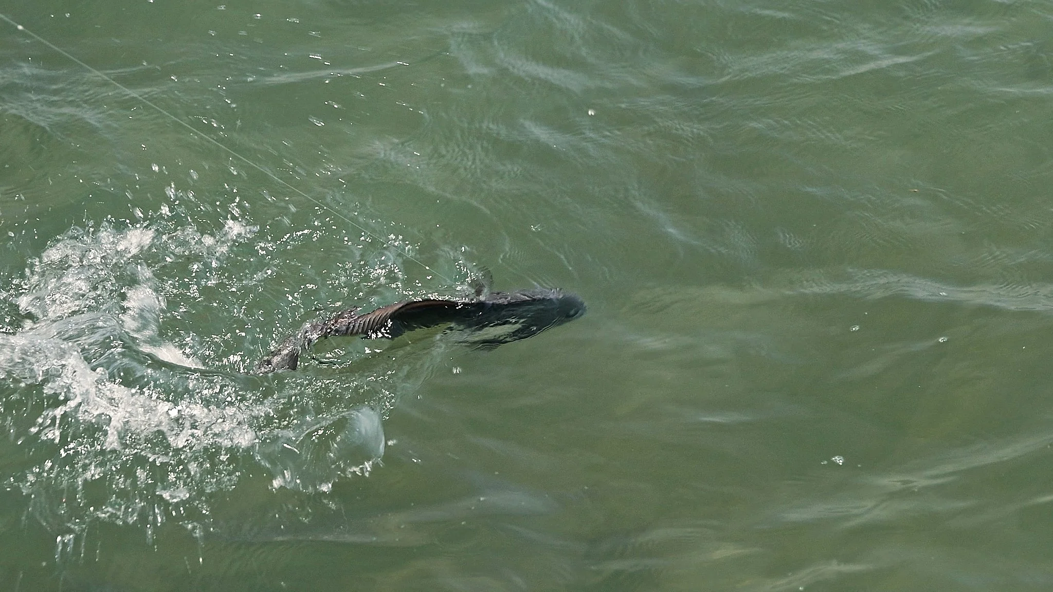 Unsorted-2025-05-26 02.32.11 3.jpg