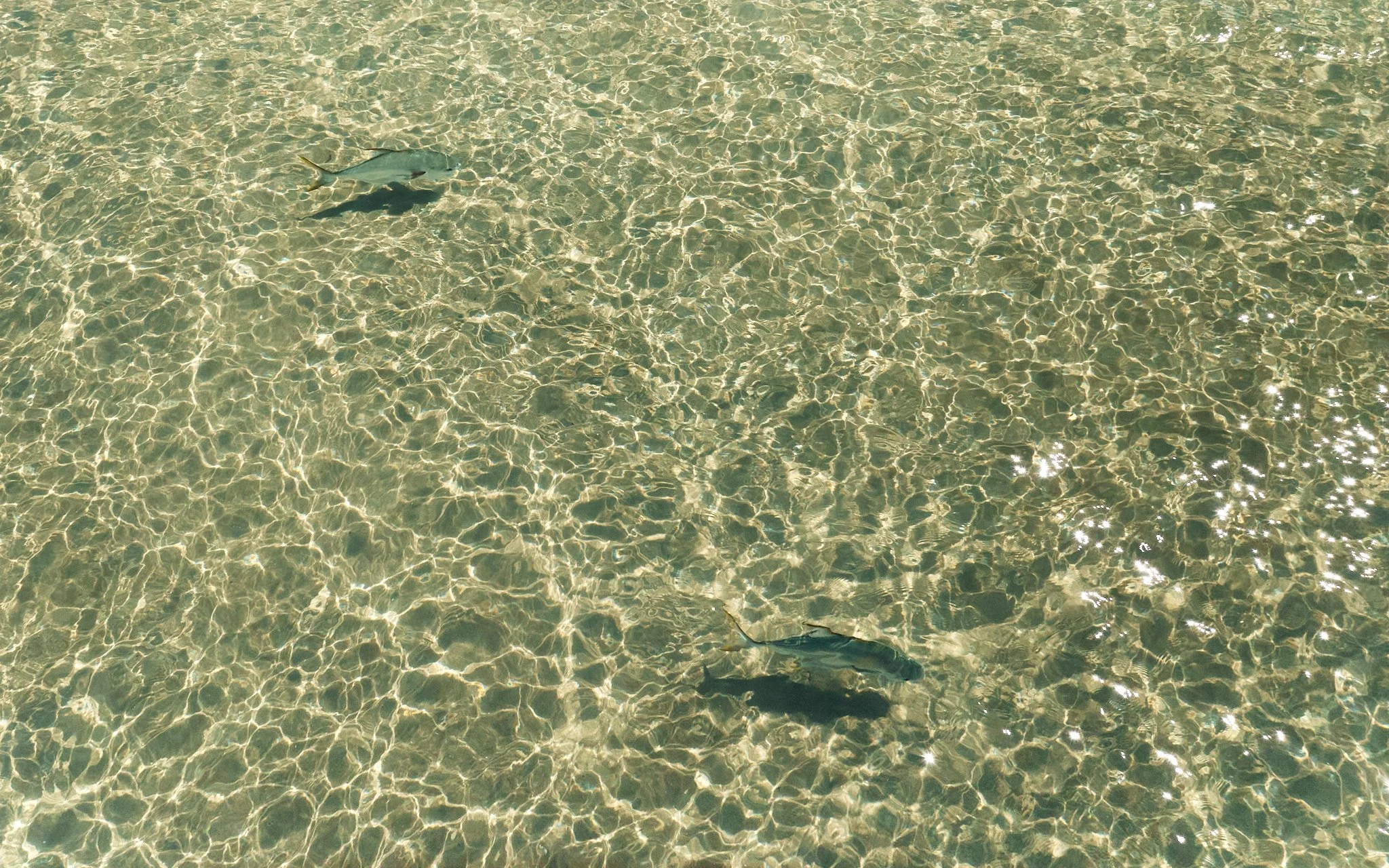 Permit-2024-06-11 11.56.45.jpg