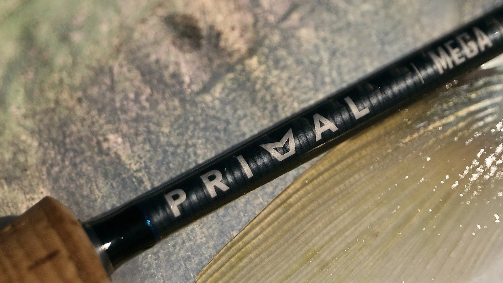 Unsorted-2025-05-26 02.32.11 5.jpg