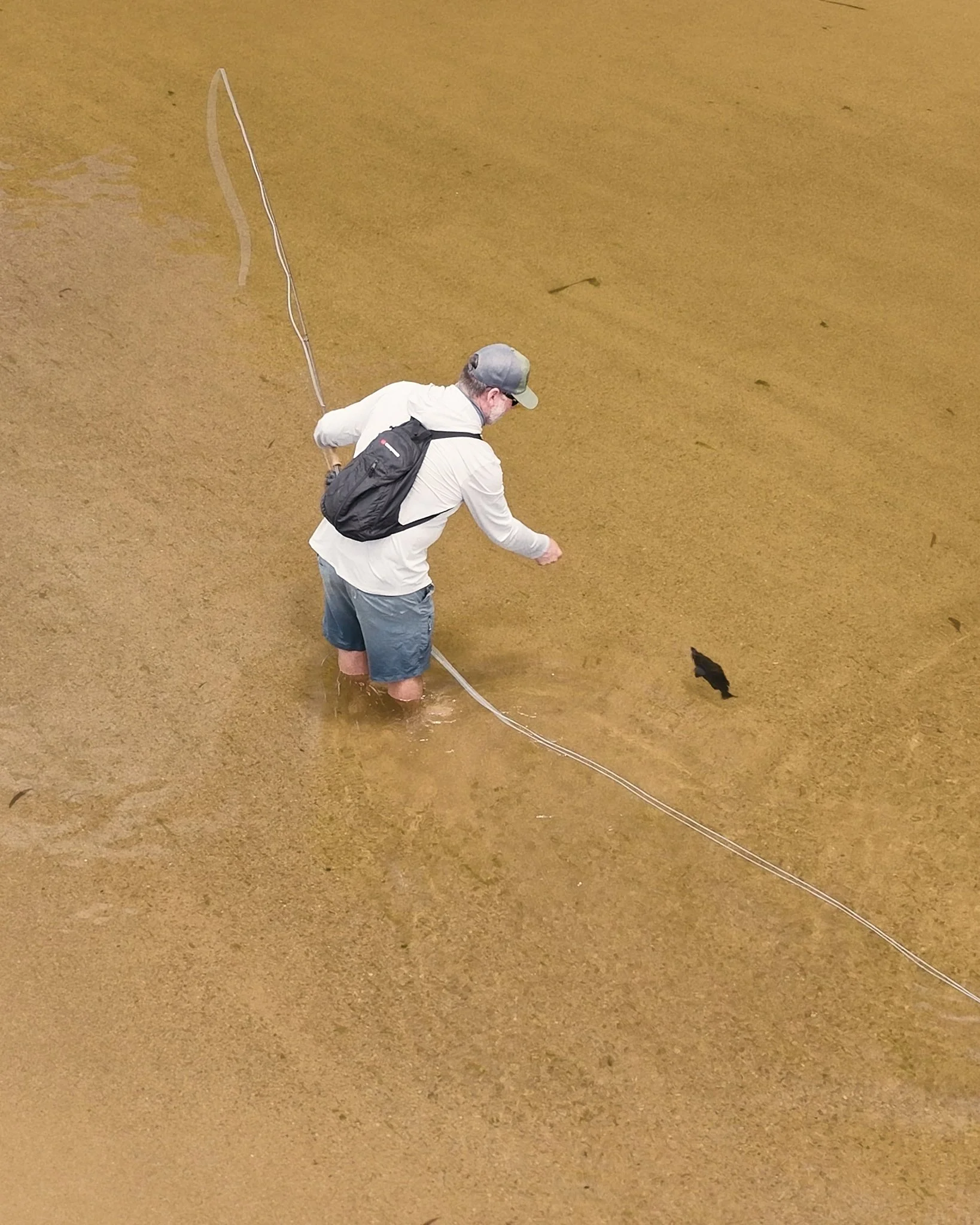 Unsorted-Shimano-2025-03-04 03.02.18 3.jpg