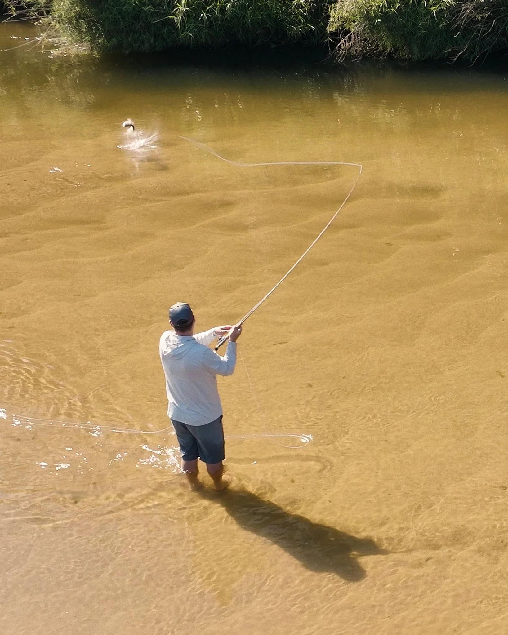 Unsorted-Shimano-2025-03-04 03.02.18.jpg