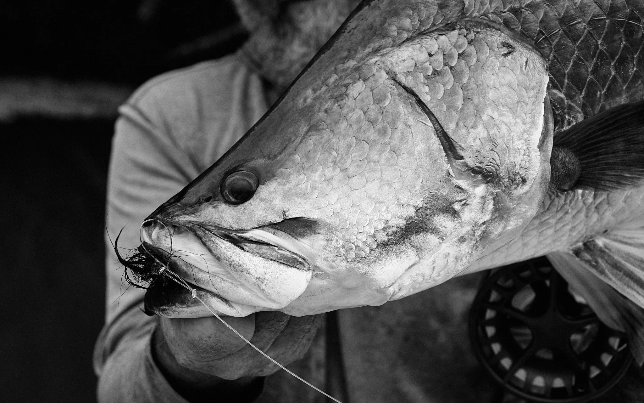 Barramundi-2024-02-23 06.35.40 1.jpg