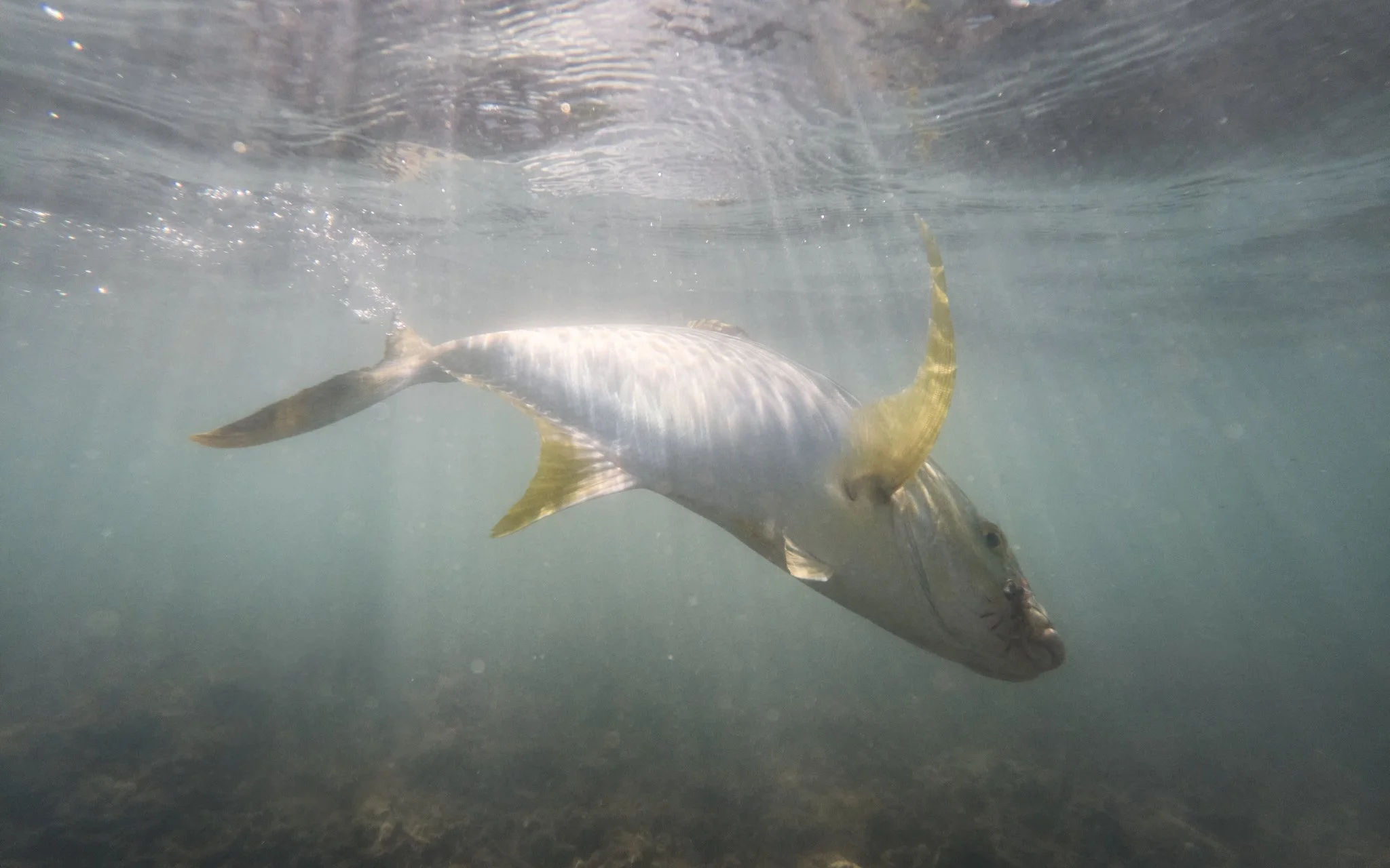 Unsorted-2025-06-04 13.23.05 5.jpg