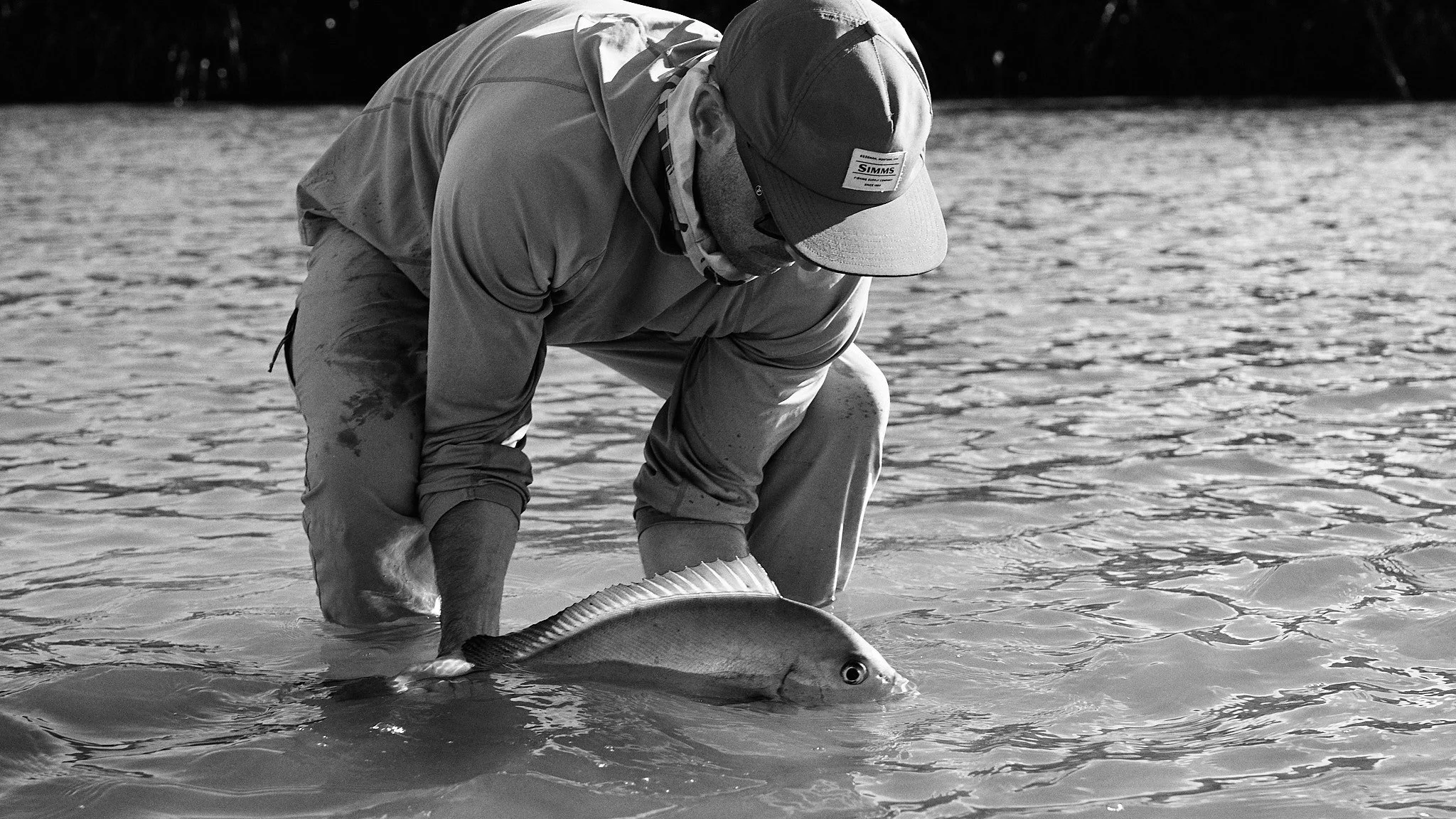 Bastard-2024-07-10 08.48.41.jpg