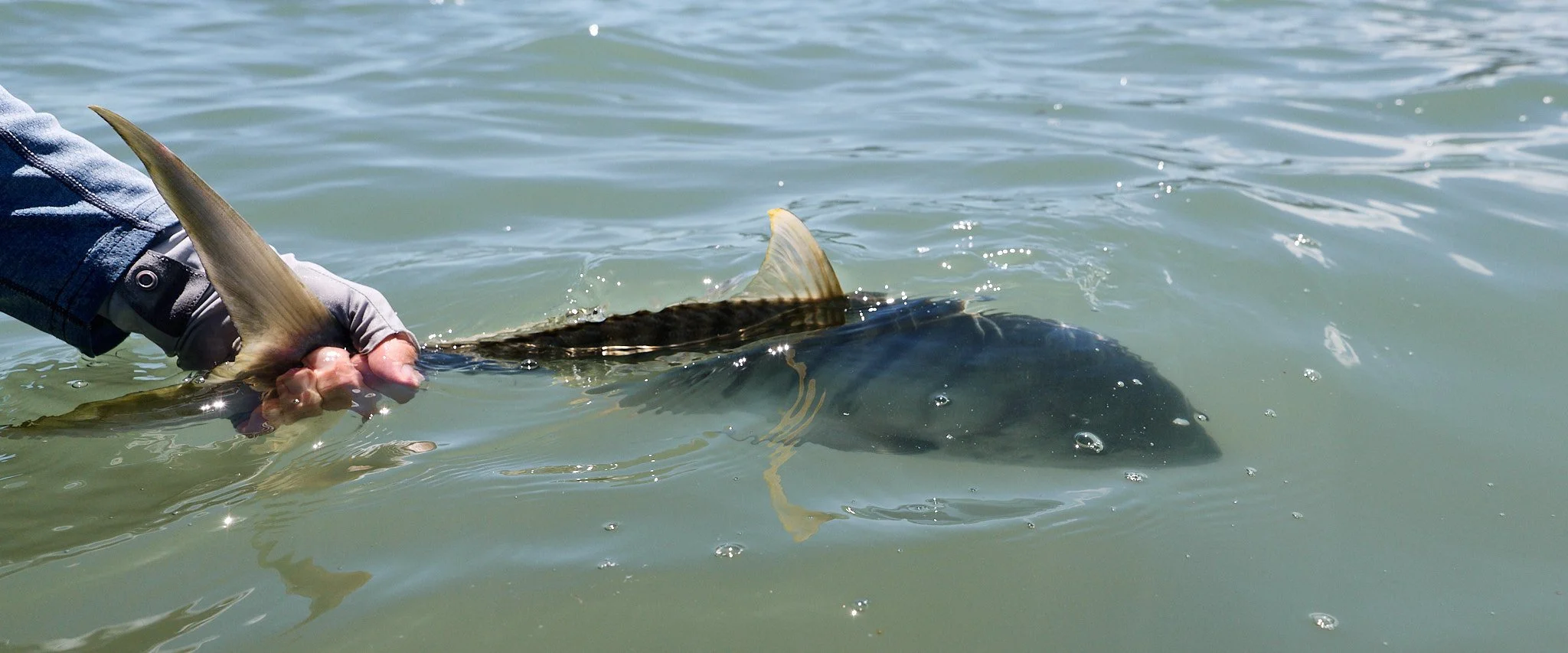 Unsorted-2026-03-27 12.41.47.jpg