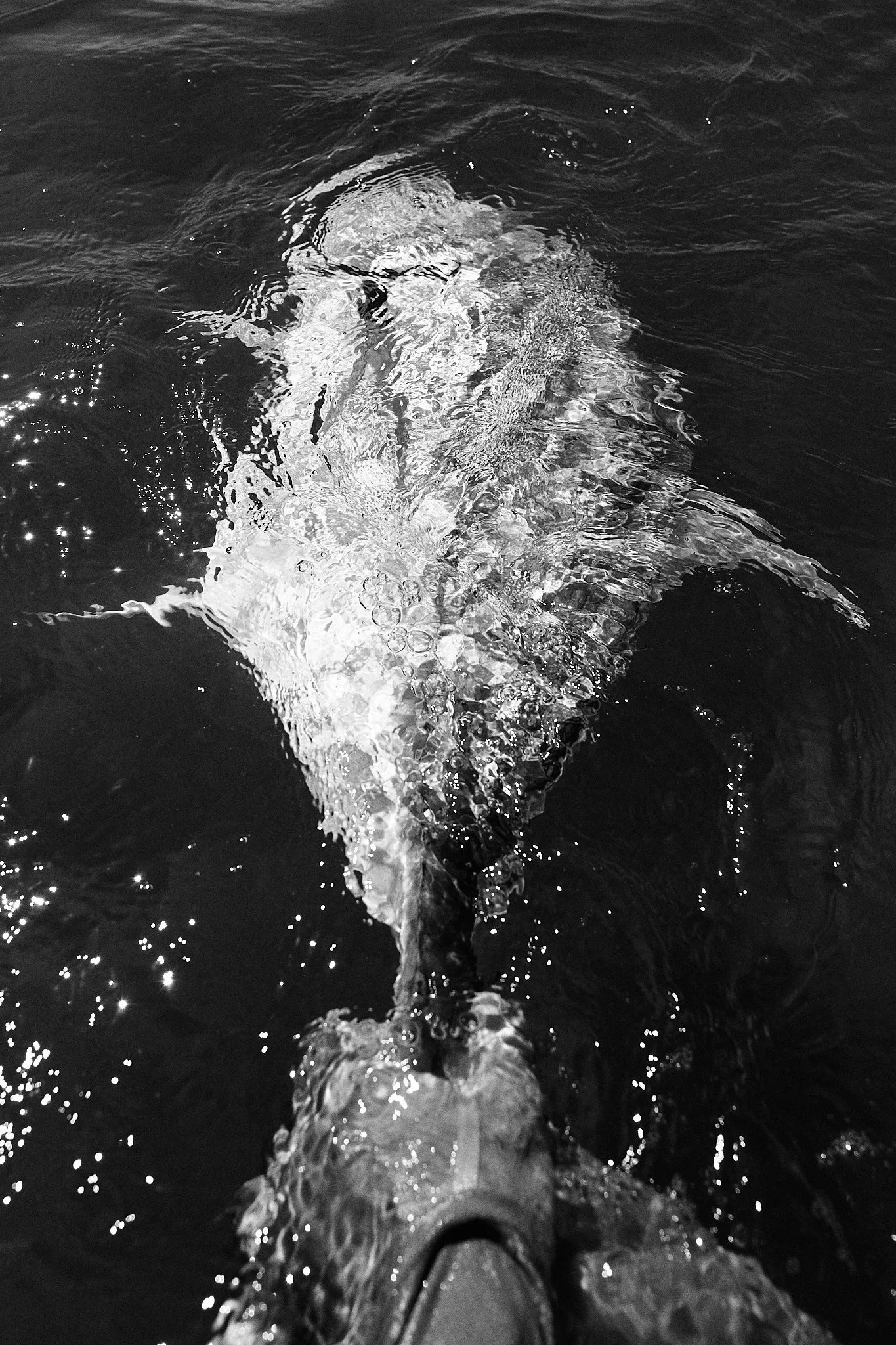 Big GT Spin-24-06-18-0049.jpg