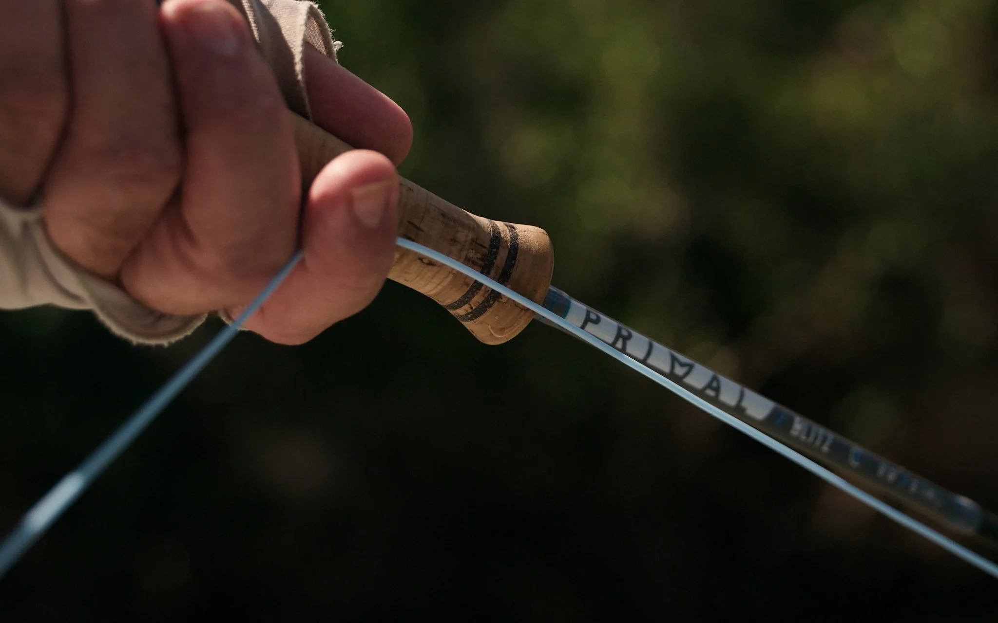 Unsorted-Shimano-2025-03-18 04.19.29 1.jpg