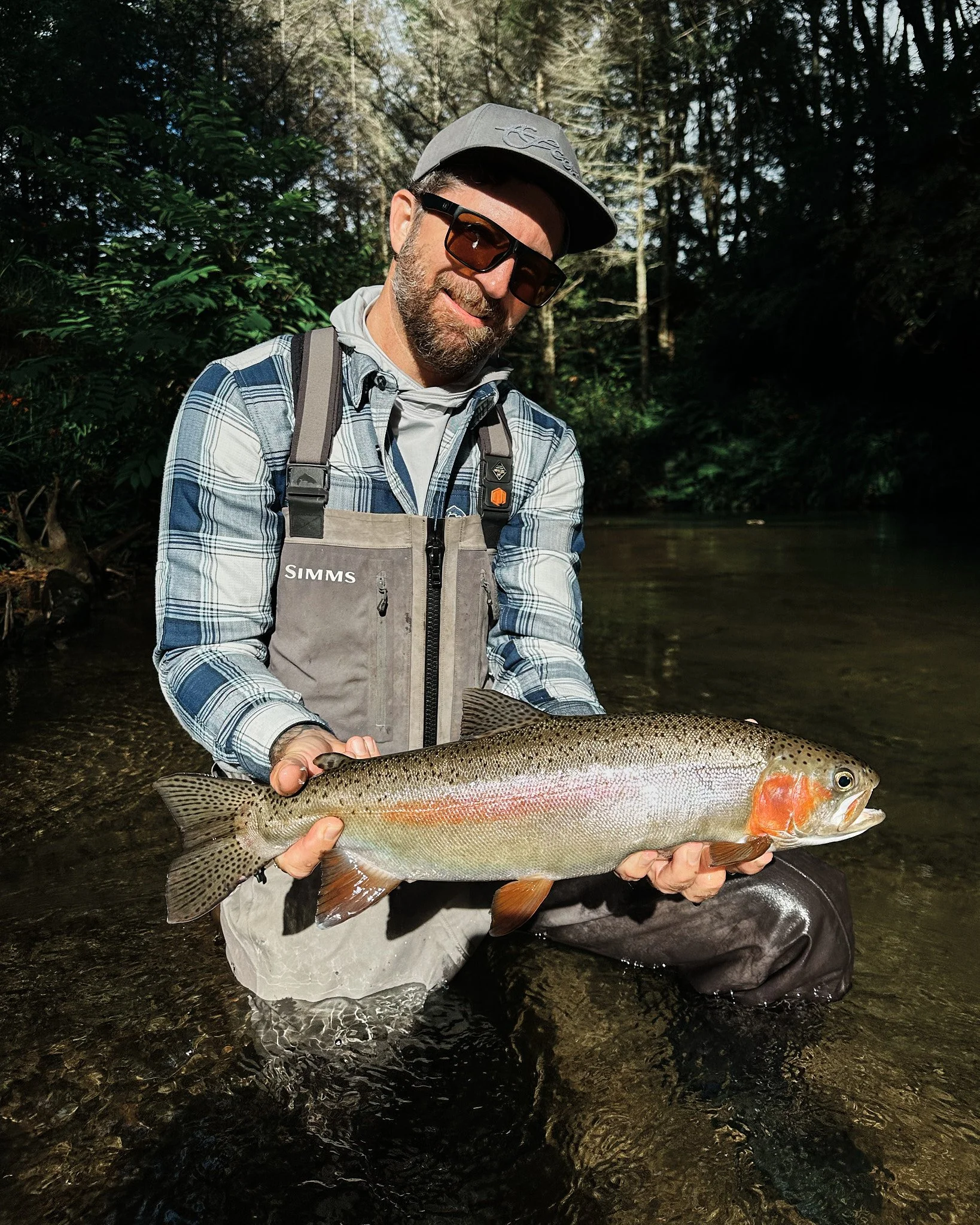 Trout-2025-01-22 08.38.45.jpg