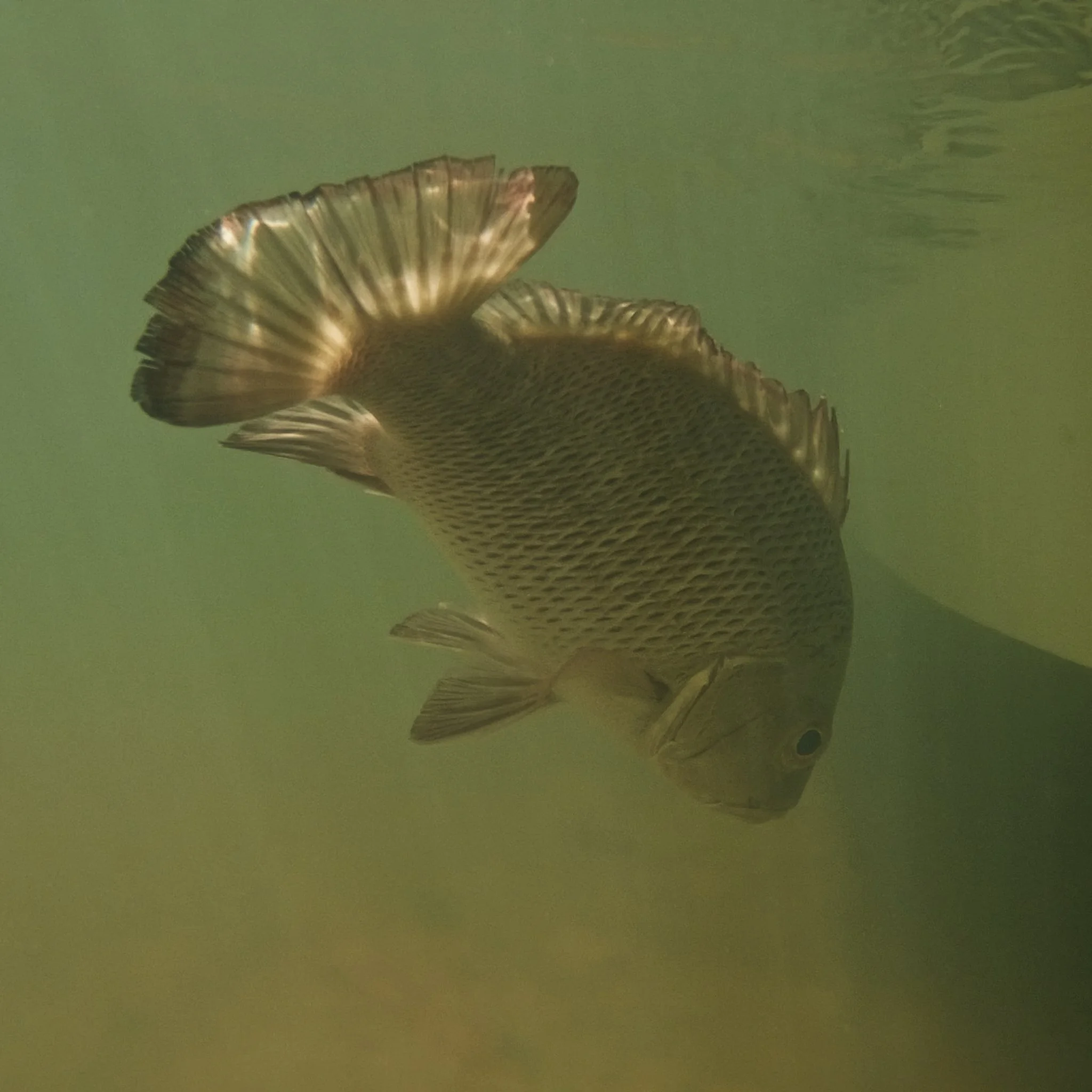 Unsorted-Shimano-2025-03-18 04.19.29 7.jpg