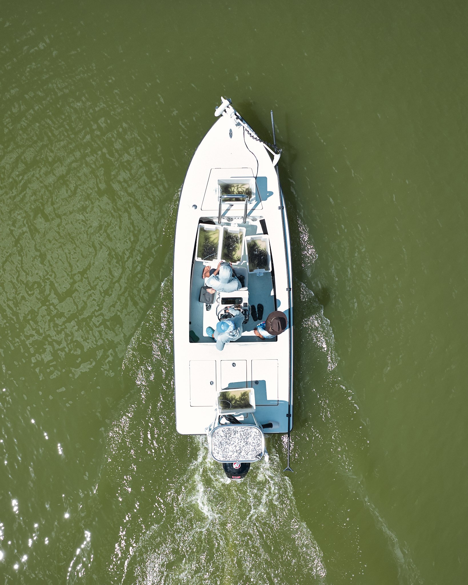 AFO & TBRG Barra Release Ross Dam -2025-12-07 07.38.42.jpg