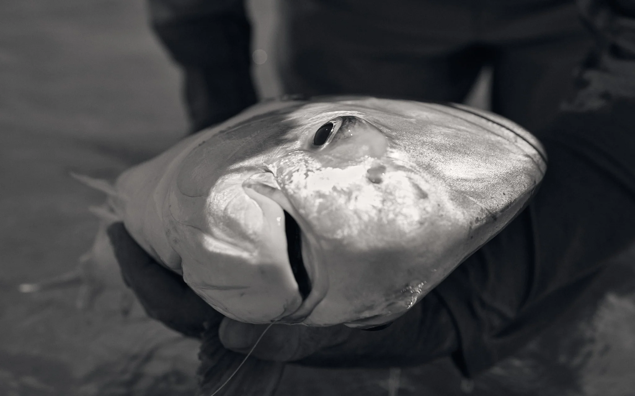 Permit-2023-10-22 11.12.43.jpg