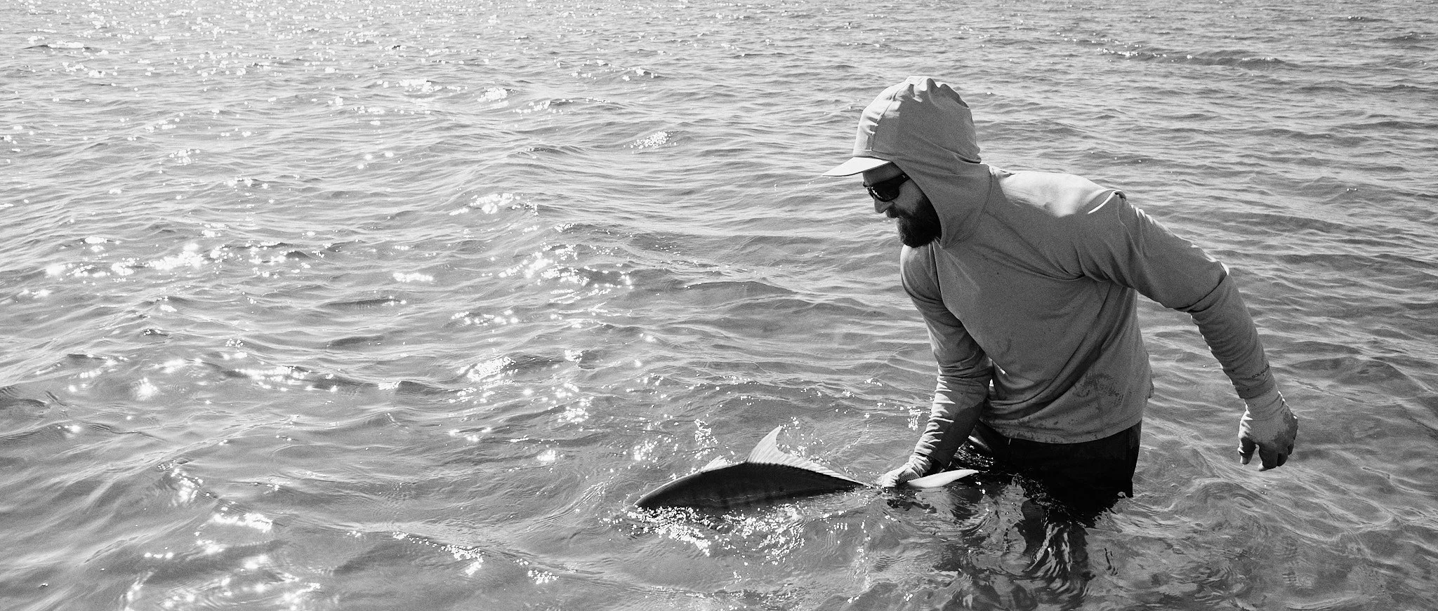 Golden Trevally-2022-05-05 09.50.43.jpg