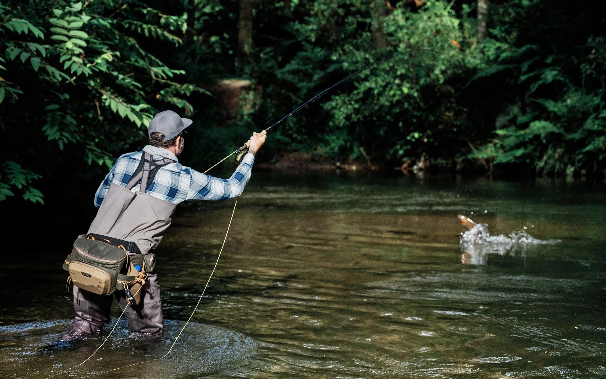 Trout-2025-01-22 08.35.01.jpg