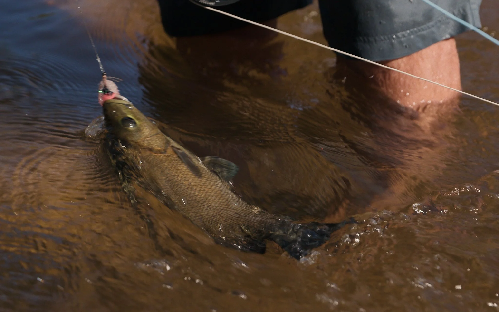 Unsorted-Shimano-2025-03-13 06.41.09 6.jpg