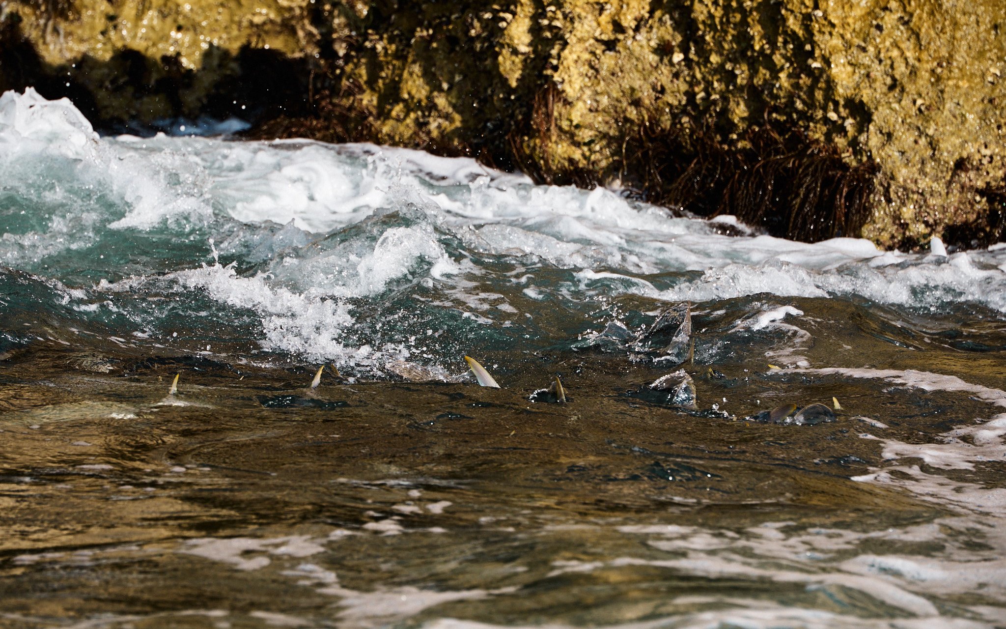 ASF & Flatscraft Oman -2025-11-09 07.40.53 4415.jpg