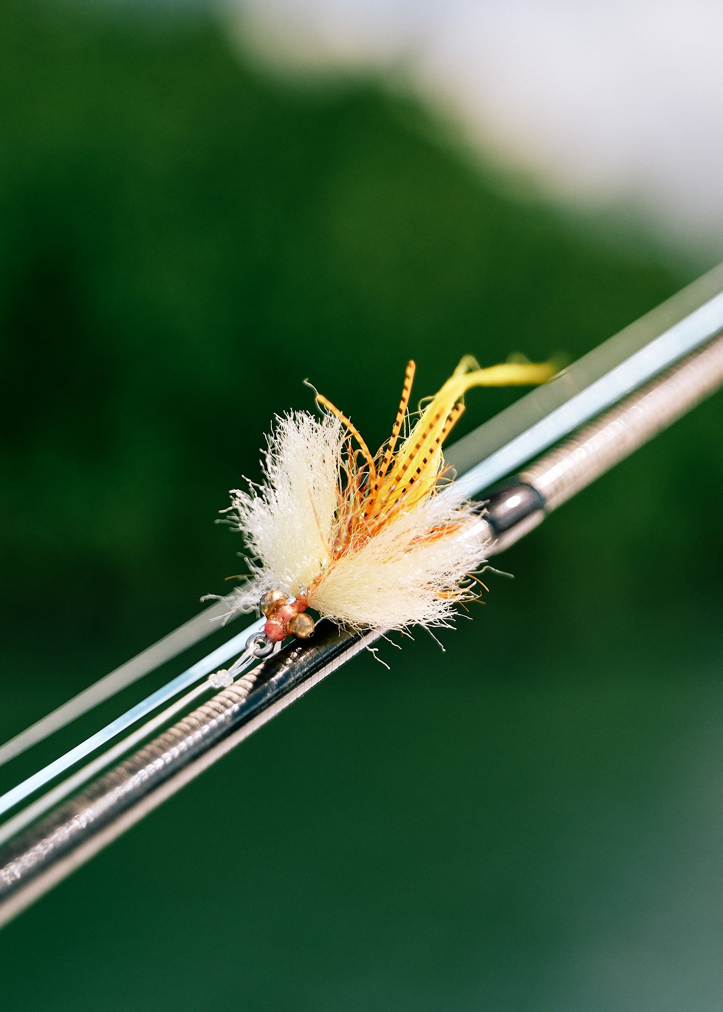 Hinchy Comp 24-2024-08-25 13.20.49 423.jpg