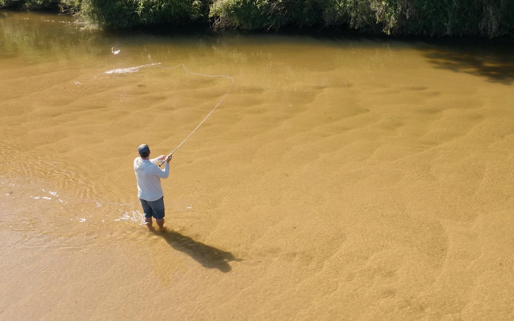 Unsorted-Shimano-2025-03-14 00.48.39 1.jpg