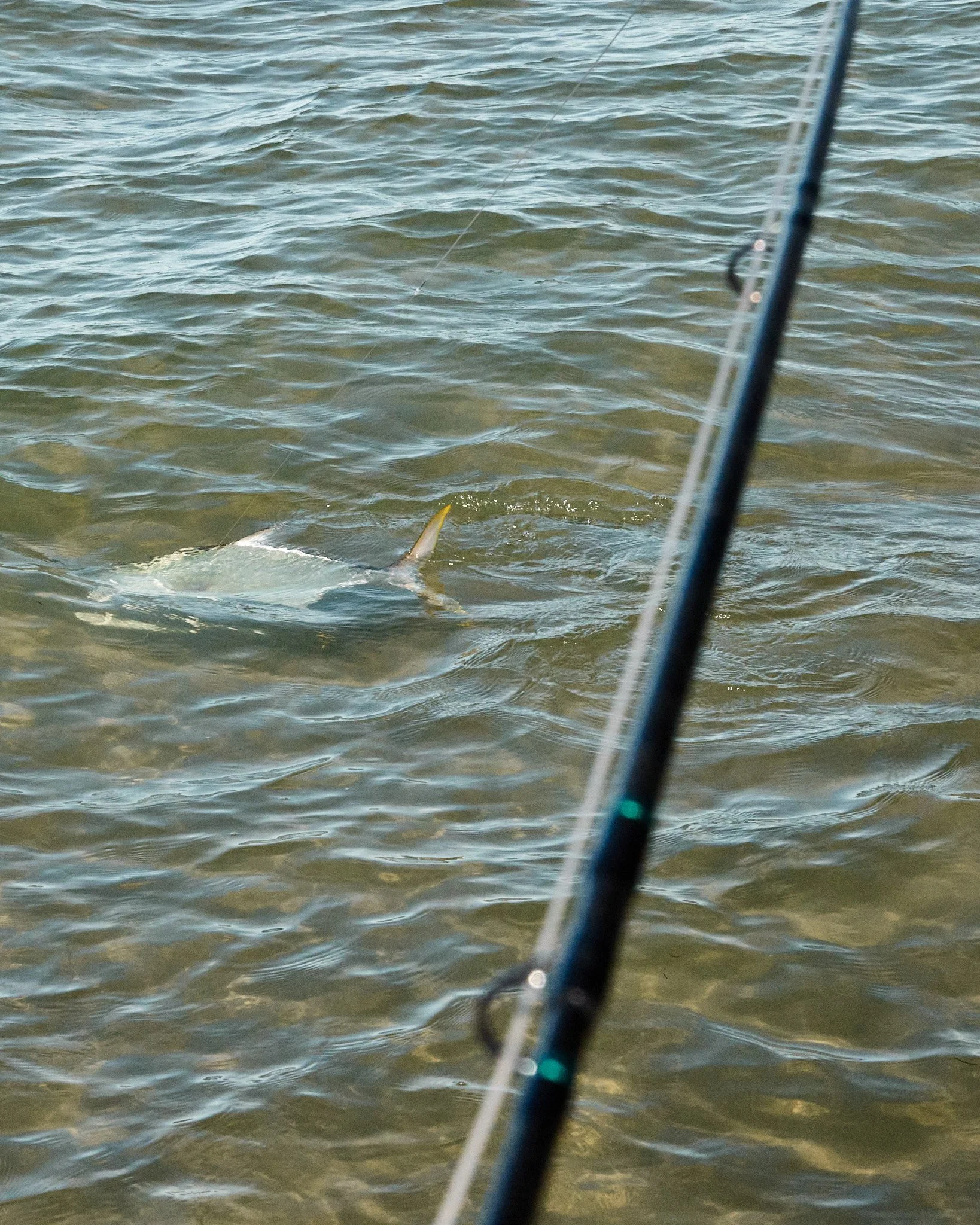 Permit-2024-06-11 10.46.39.jpg