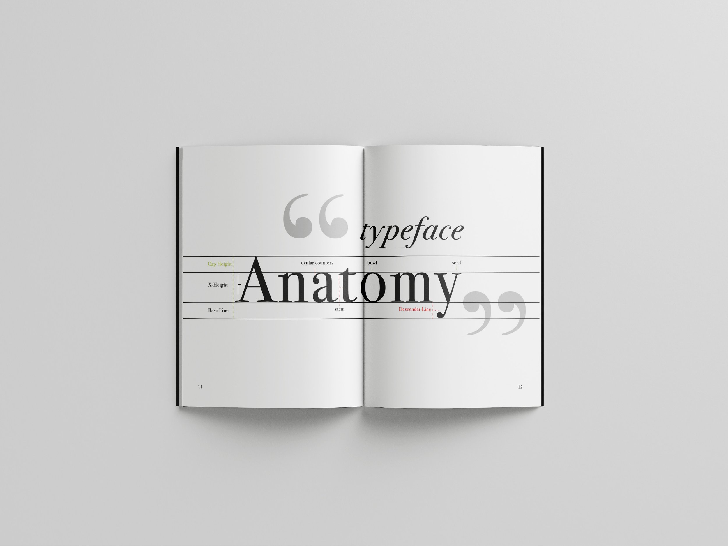 Bodoni_Book_Mockup3.jpg