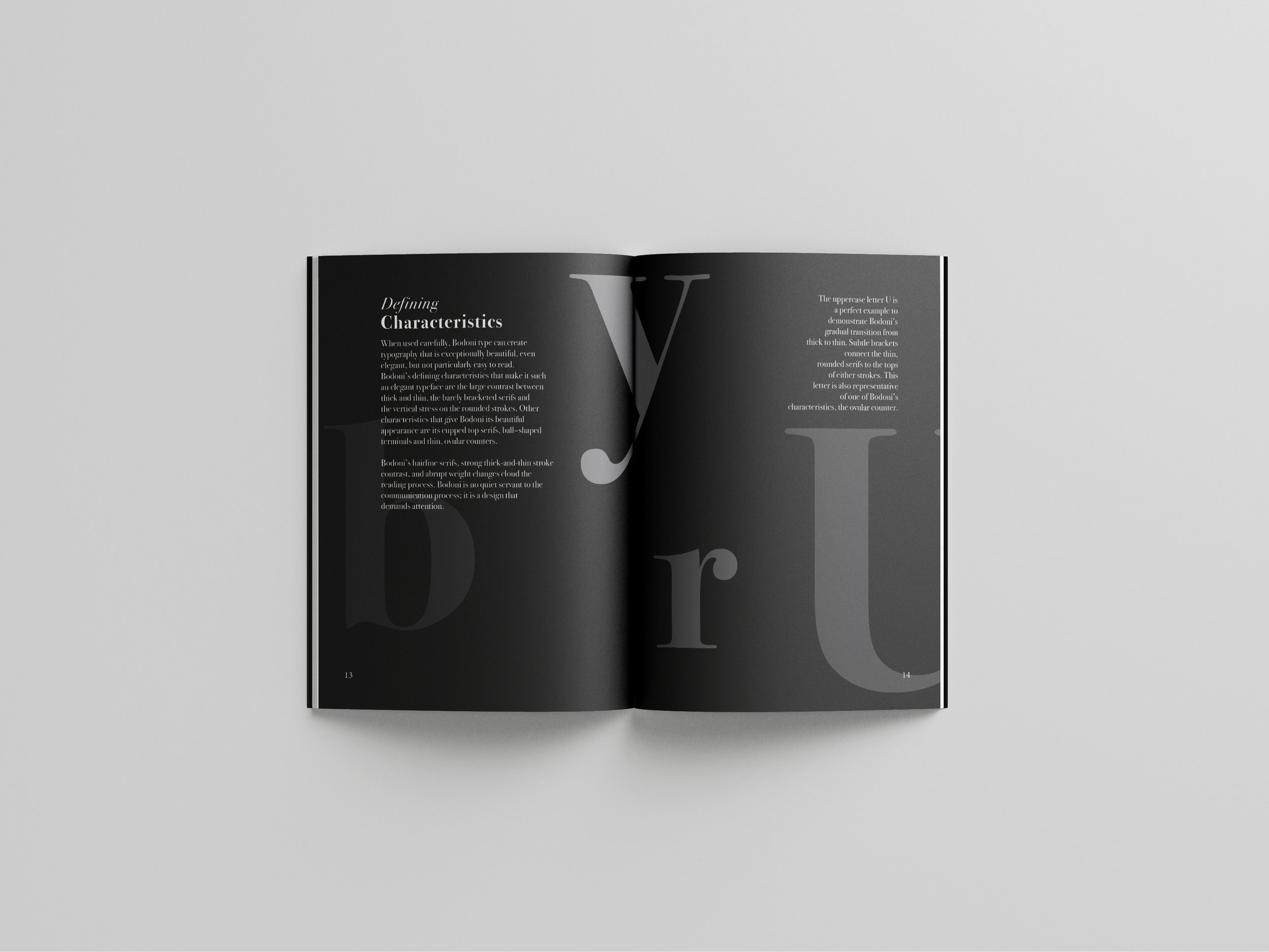 Bodoni_Book_Mockup6.jpg