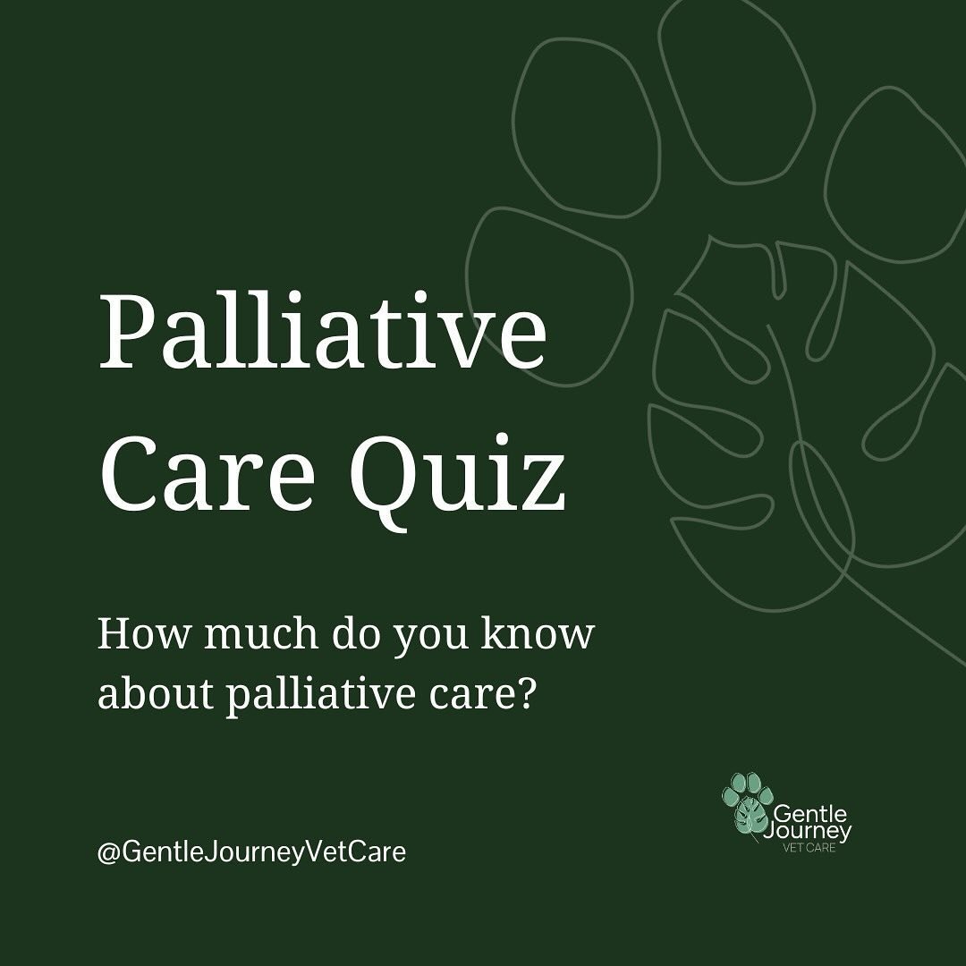 How did you do? 🤔

Palliative care can be all encompassing and fit many different health conditions. We write about tips that vets and pet guardians alike would find helpful on our blog. You can read &ldquo;What is Palliative Care for Pets?: Underst