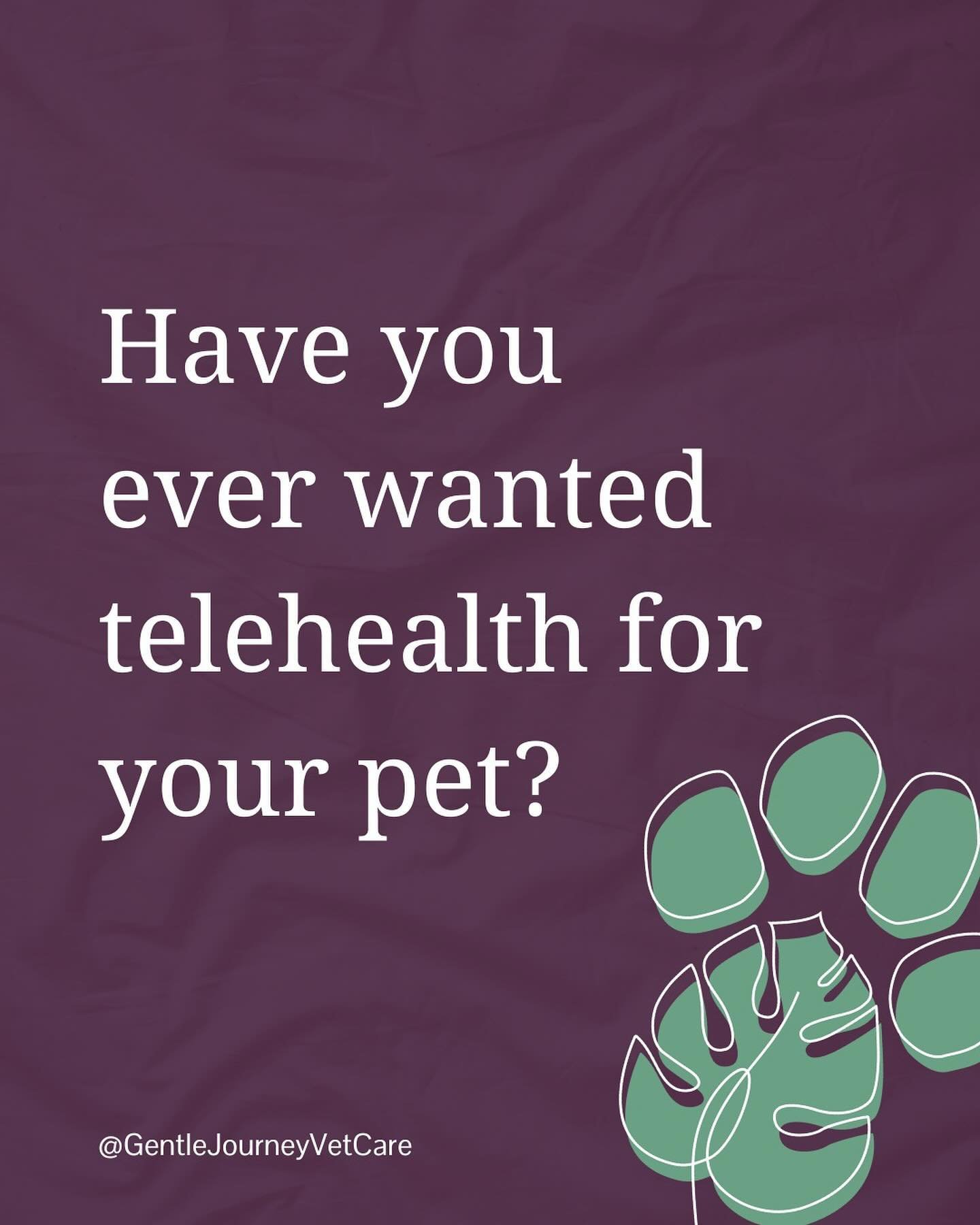 Have you ever wished you could hop on a Zoom with your vet? 💻

At Gentle Journey Vet Care, you can. 👀

Dr. Stephanie starts all new patients with a telehealth appointment to go over records and understand your concerns as a pet guardian. 🧠

If you