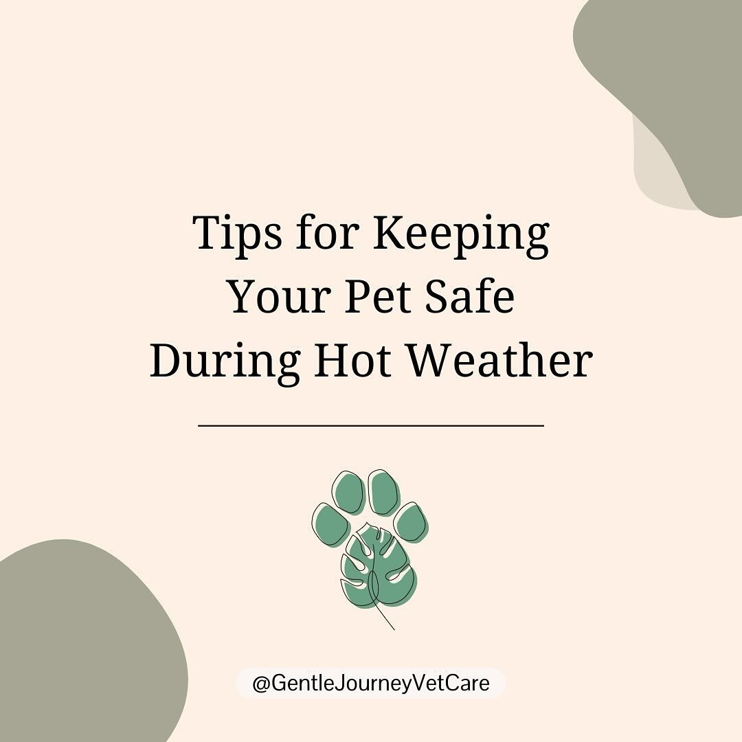 Warmer temperatures are around the corner. ☀️

While you and your pet may enjoy soaking up the sun, we also need to remember that heat can be hard on our pets. 🐾

Watching out for these things can help your pet stay safe. 

It is especially importan