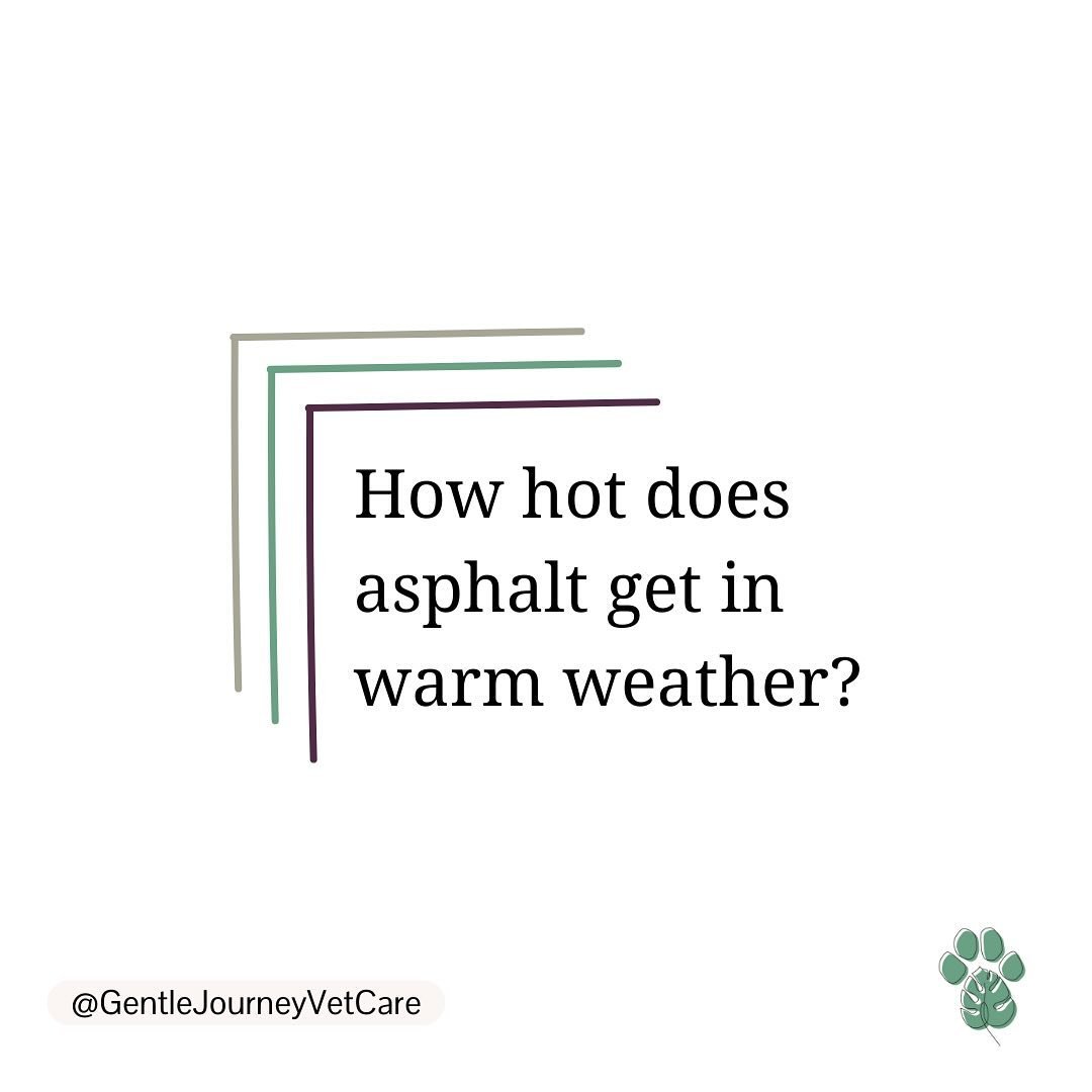 How hot is too hot? 🫠

At 77&deg;F, the asphalt is 125&deg;F. It only takes 60 seconds at that temperature for paws to burn. 

By limiting their time to hot surfaces and testing the surface with your hand, you can keep your pet&rsquo;s paws safe. 

