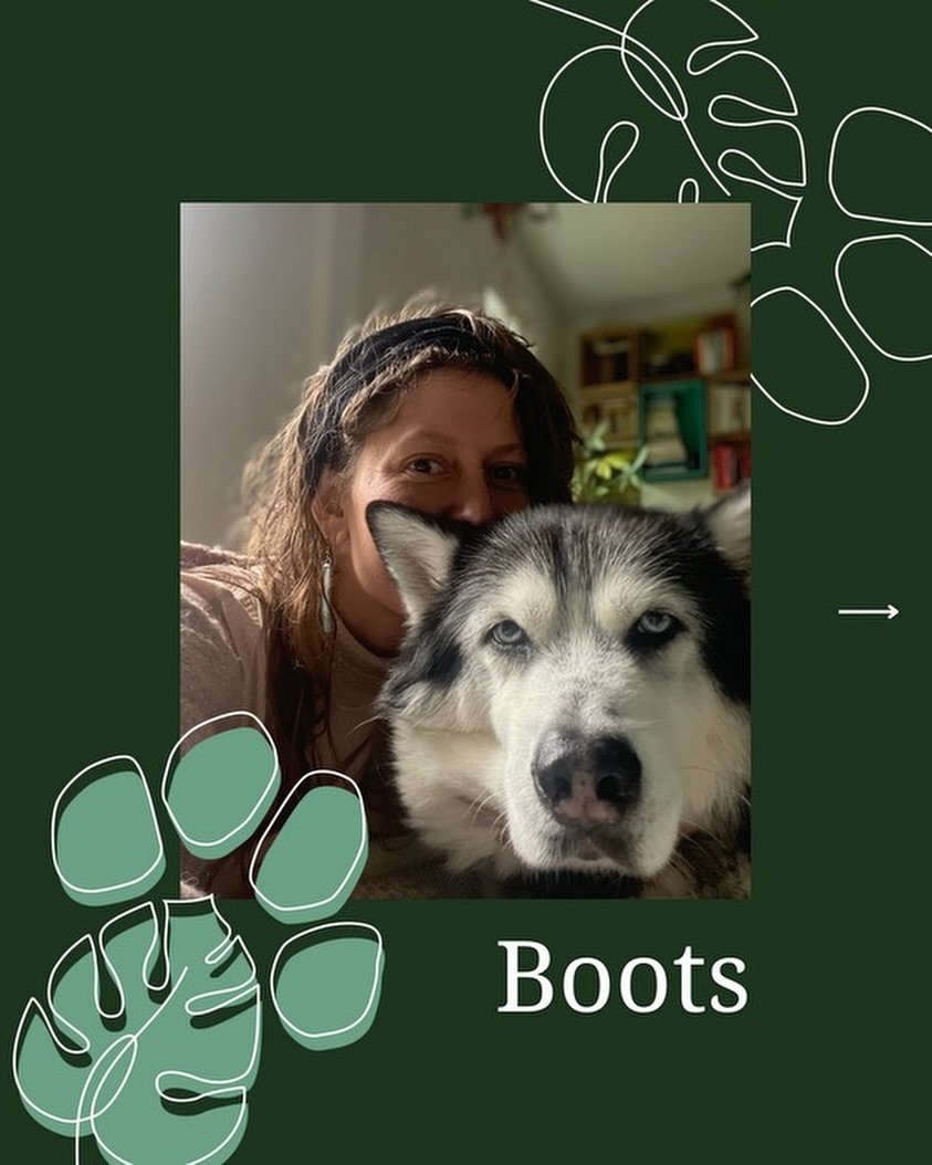 Our goal is to make our patients and their families comfortable. 🤍

Pets that require customized or high level of care deserve extra support. For Boots, we were able to help him and his guardian Allison in the comfort of their own home. 

We can pro