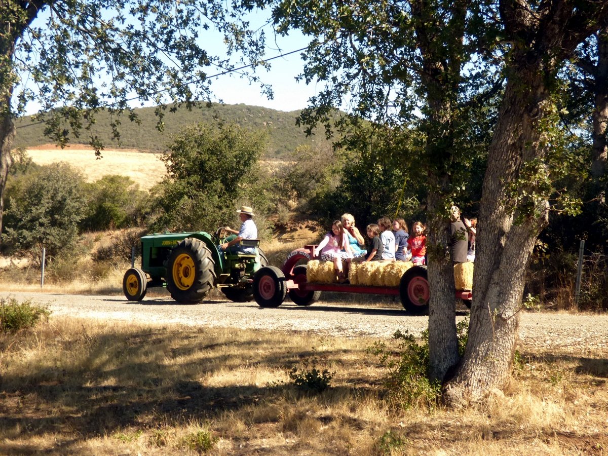 Hay rides