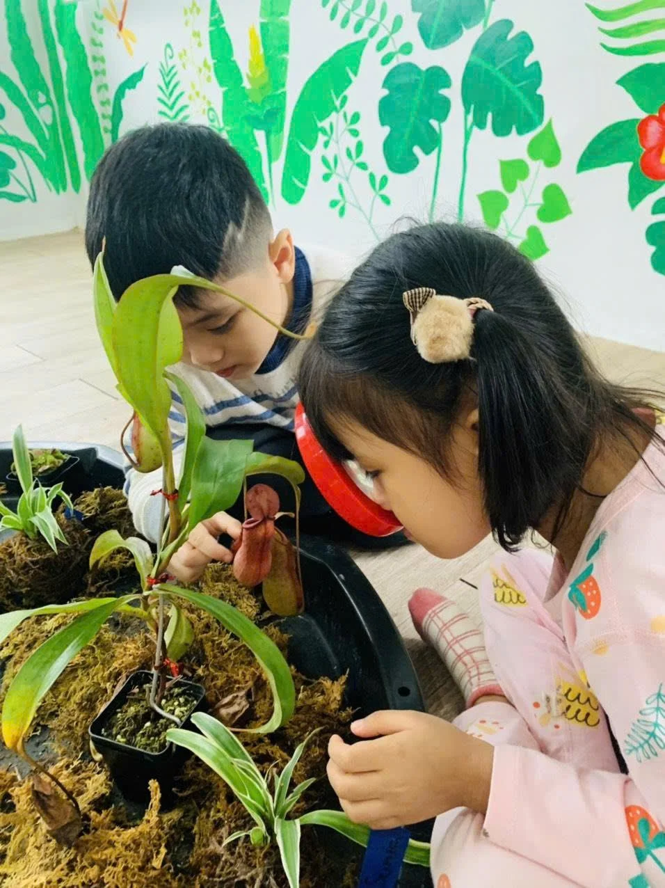 Two children planting and caring for small potted plants indoors, with a vibrant wall mural of green leaves and flowers in the background.