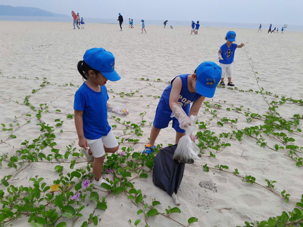 Children in blue shirts and hats collecting trash on a sandy beach with green plants and purple flowers, other people in the background, and the sea and mountains in the distance.