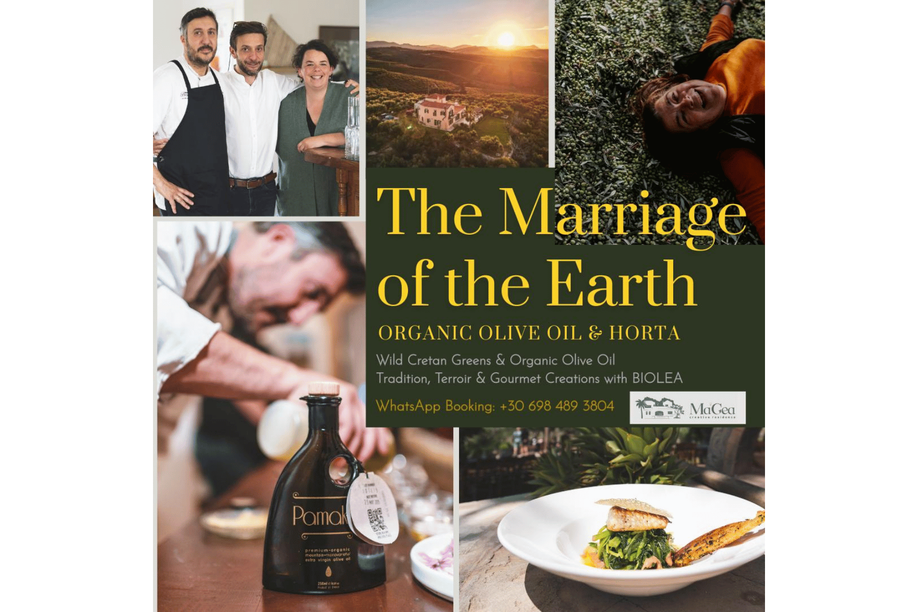 The Marriage of the Earth - Organic Olive Oil &amp; Horta Workshop