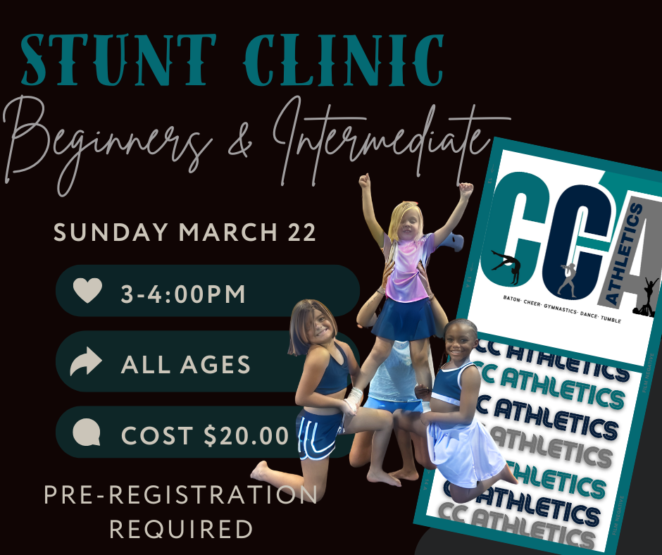 Stunt Clinic