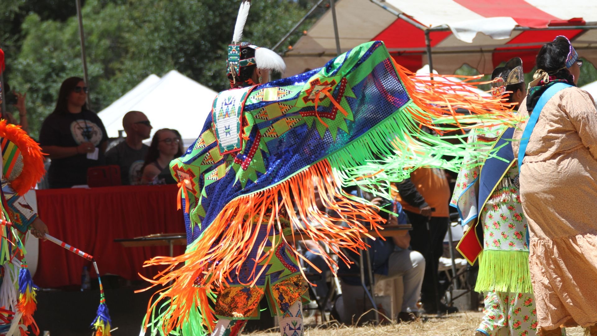Native American Financial Leaders Fellowship Program
