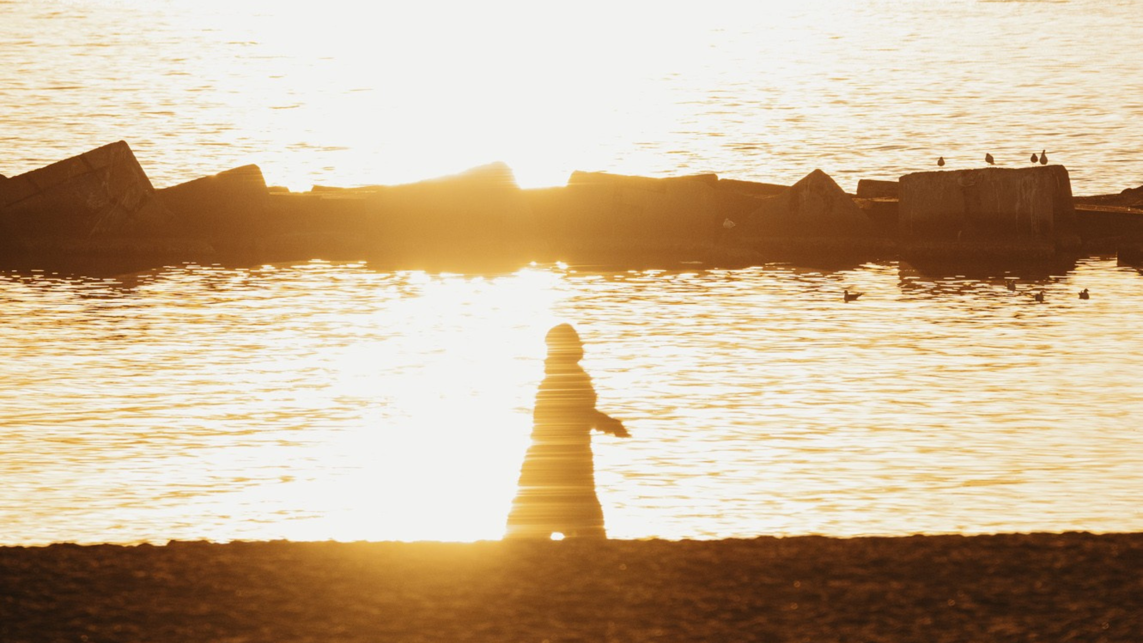 The Importance of Mentorship: How I Became the Leader I Am Today