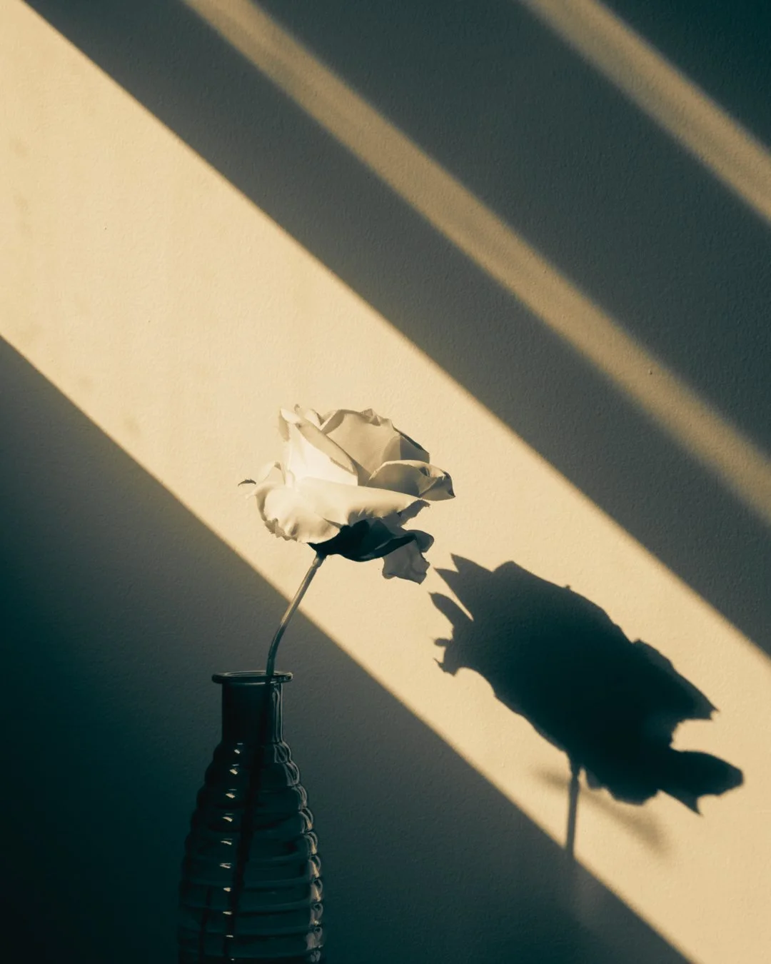 First you&rsquo;ll notice your thinking shifts.⁣
⁣
You stop asking, &ldquo;What moves this forward?&rdquo; ⁣
You start asking, &ldquo;What avoids risk?&rdquo;⁣
⁣
It&rsquo;s subtle.⁣
But it changes how decisions get made.⁣
⁣
That&rsquo;s what pressure