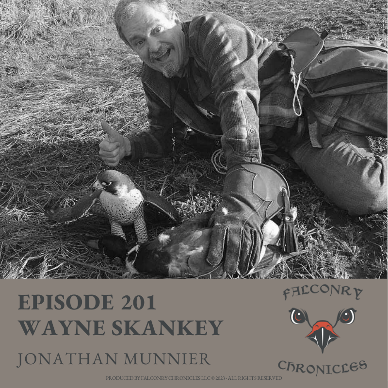 Episode 201: Wayne Skankey