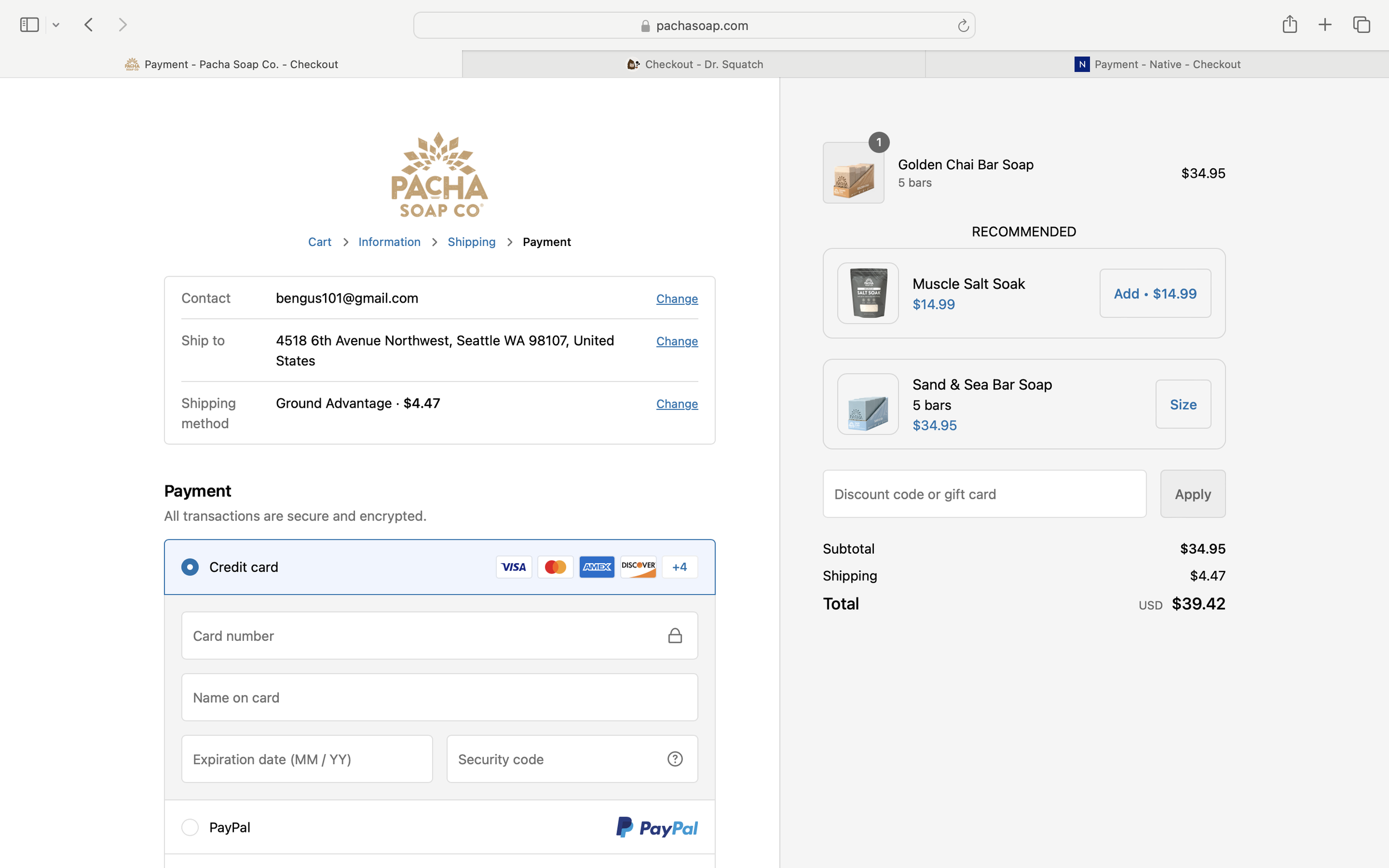 Pacha's payment page- top fold.
