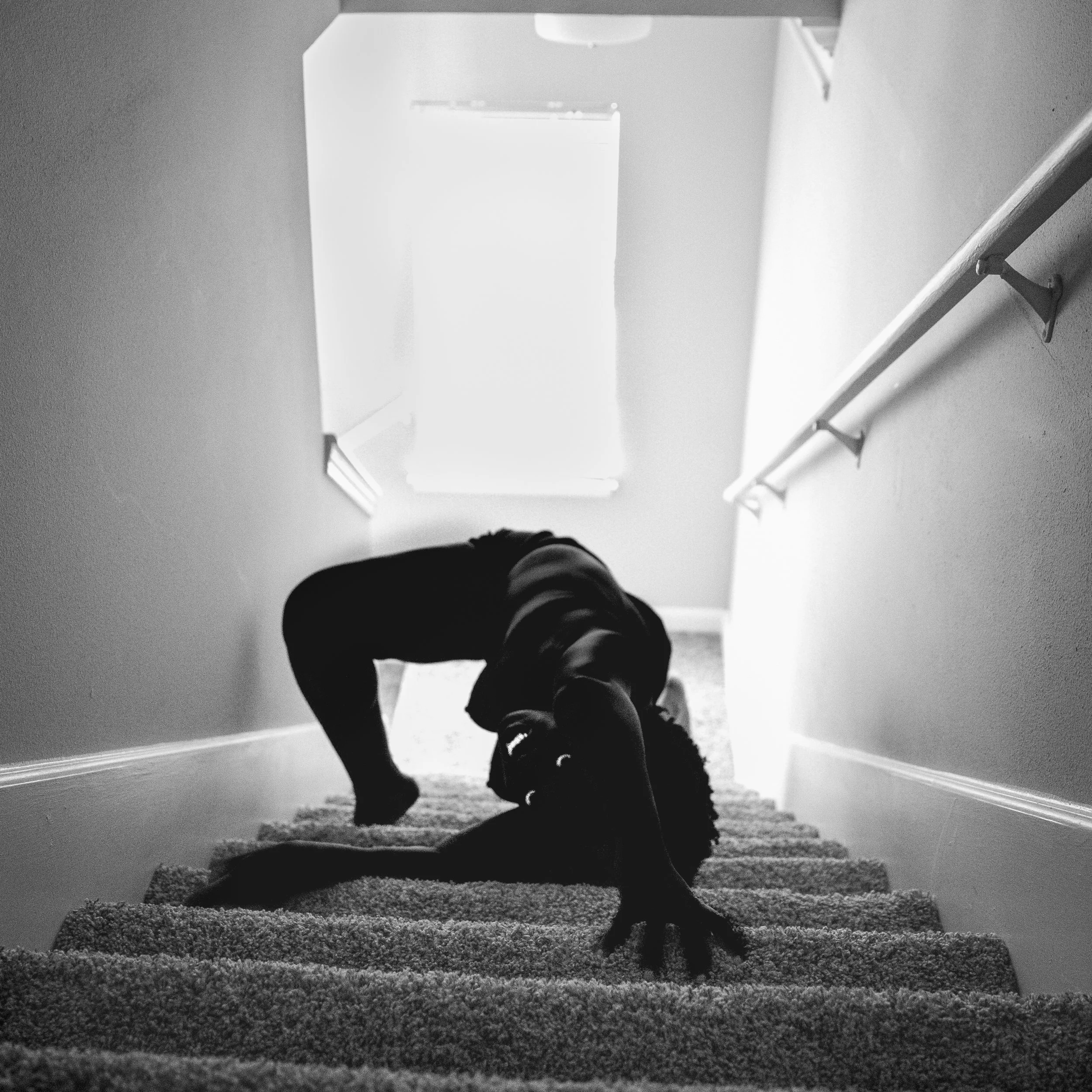 Climb .jpg